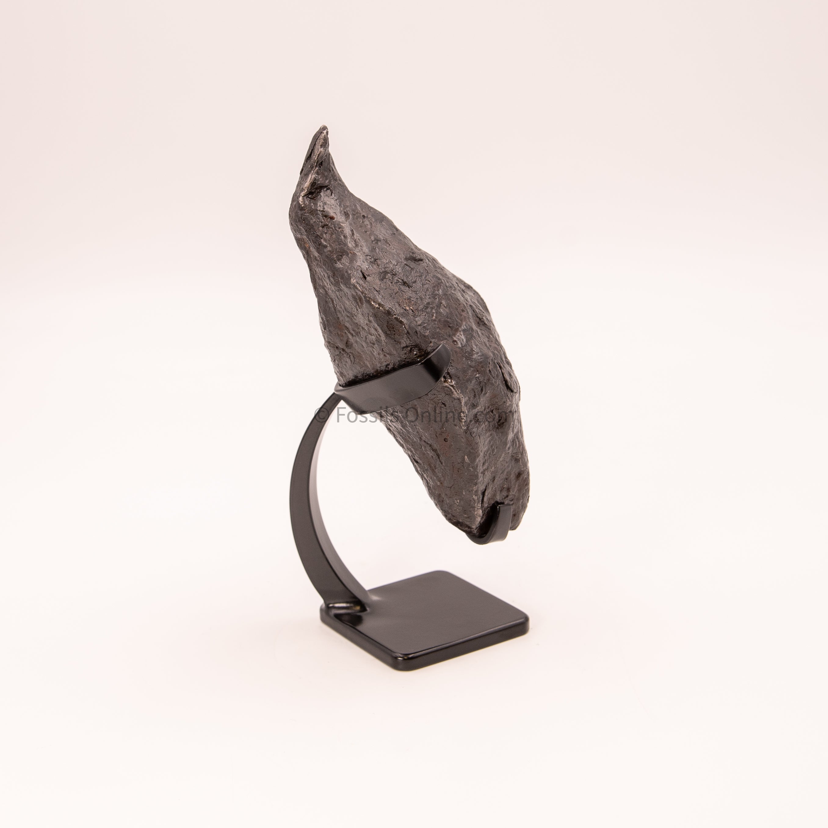 Muonionalusta Meteorite 2065g