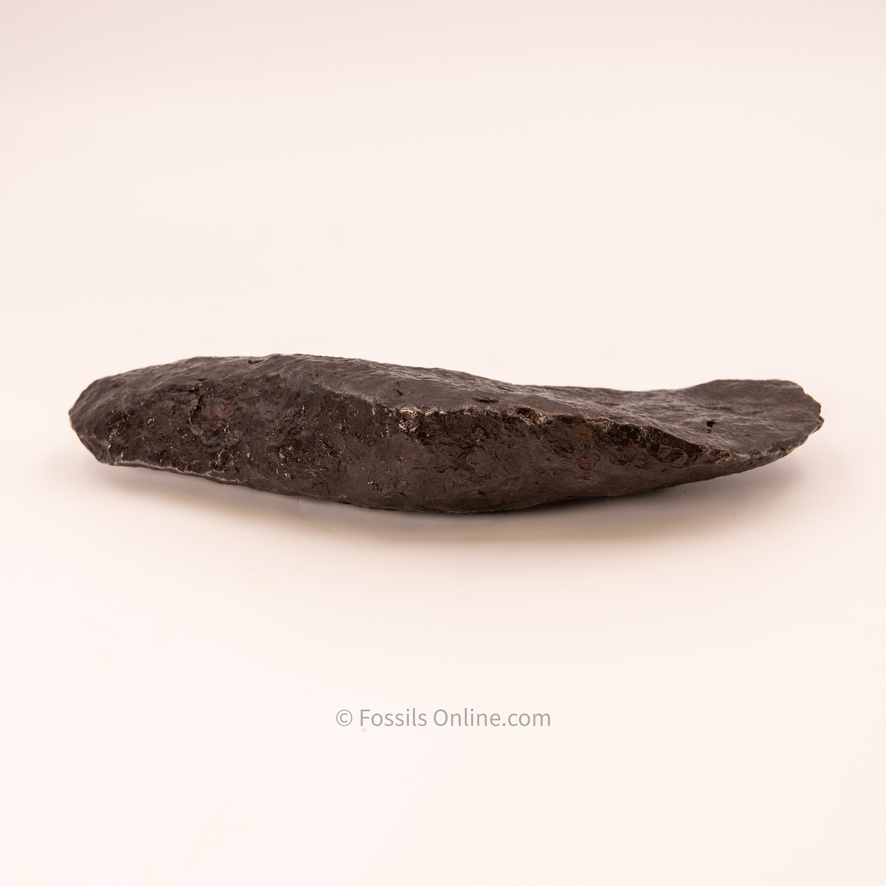 Muonionalusta Meteorite 3815g