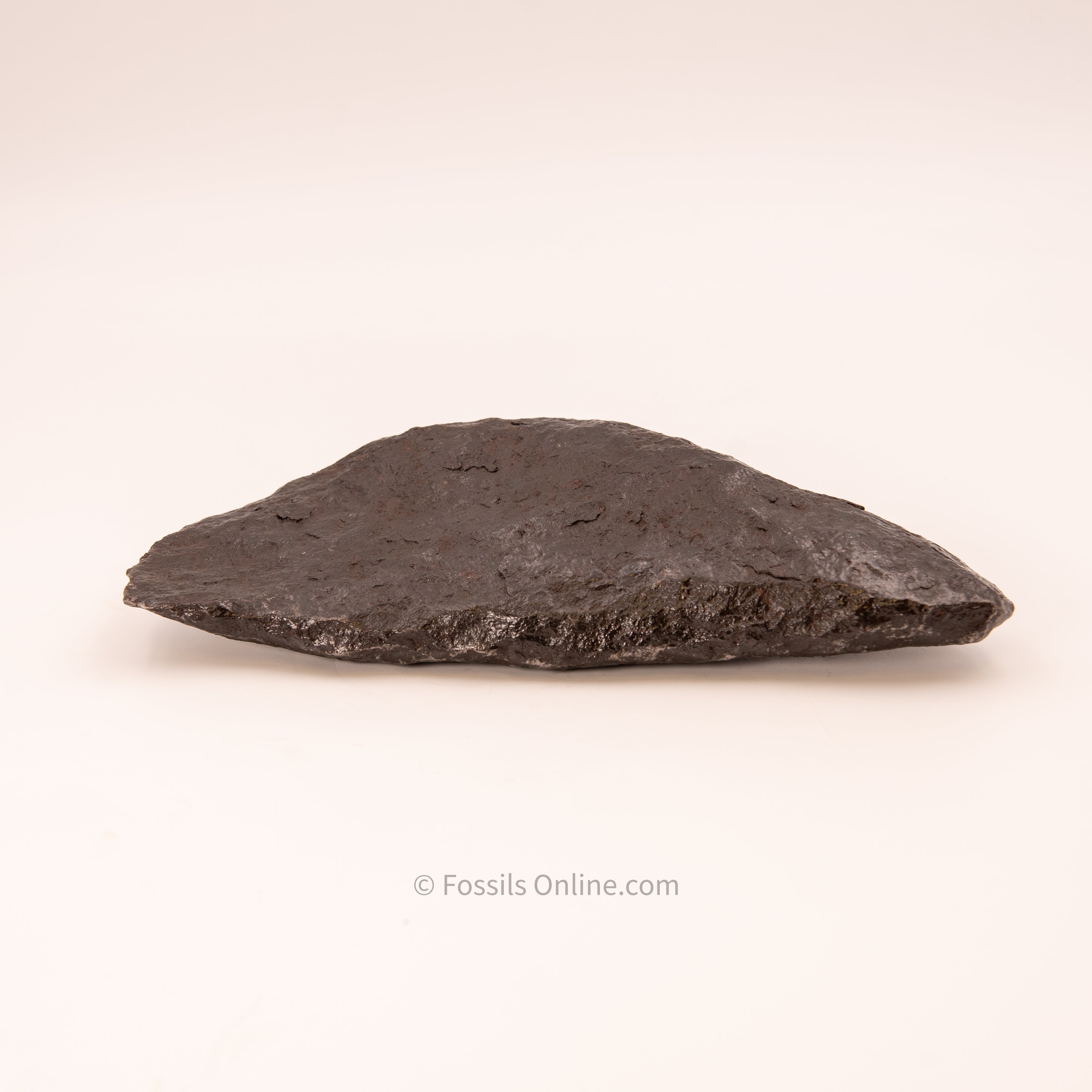 Muonionalusta Meteorite 3815g