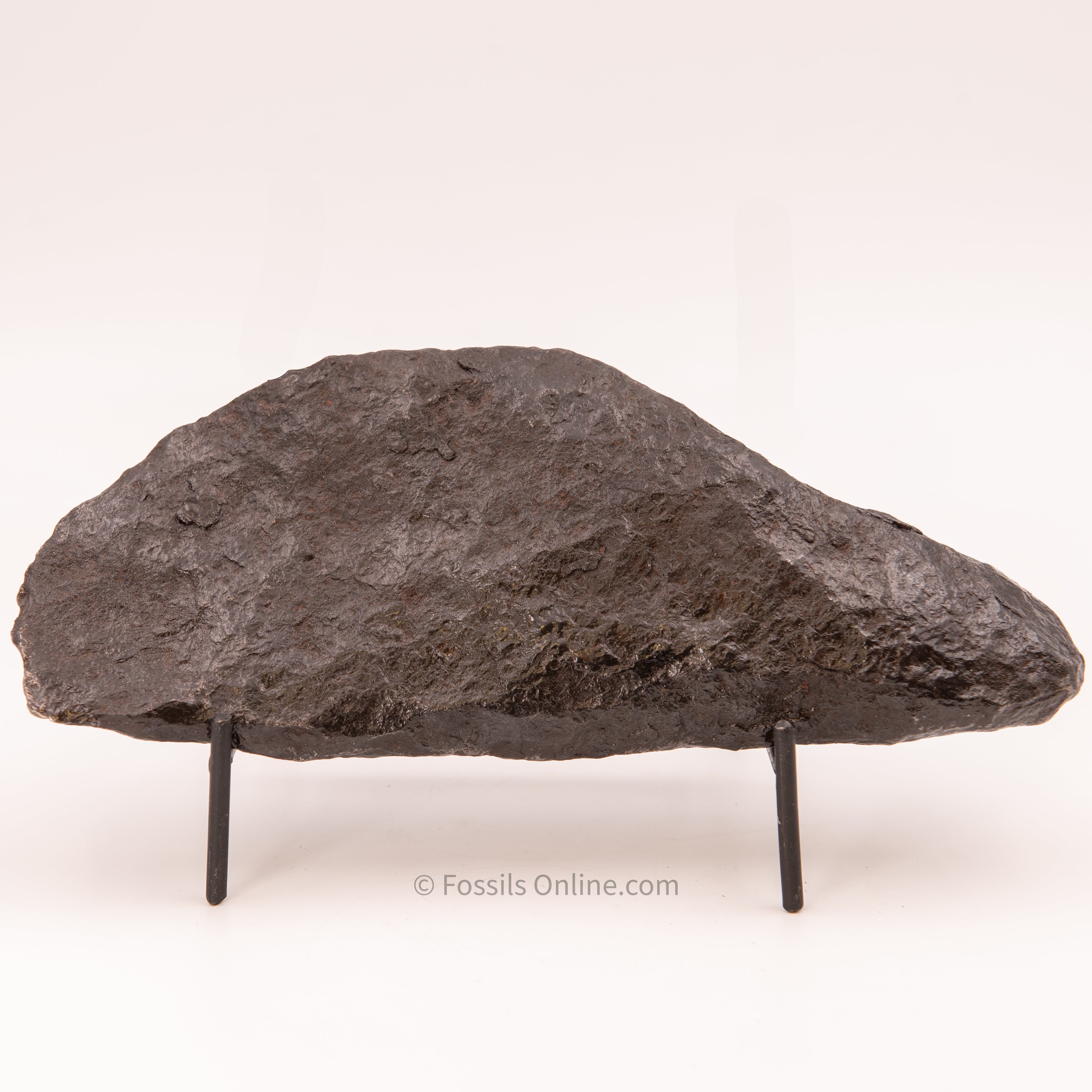 Muonionalusta Meteorite 3815g