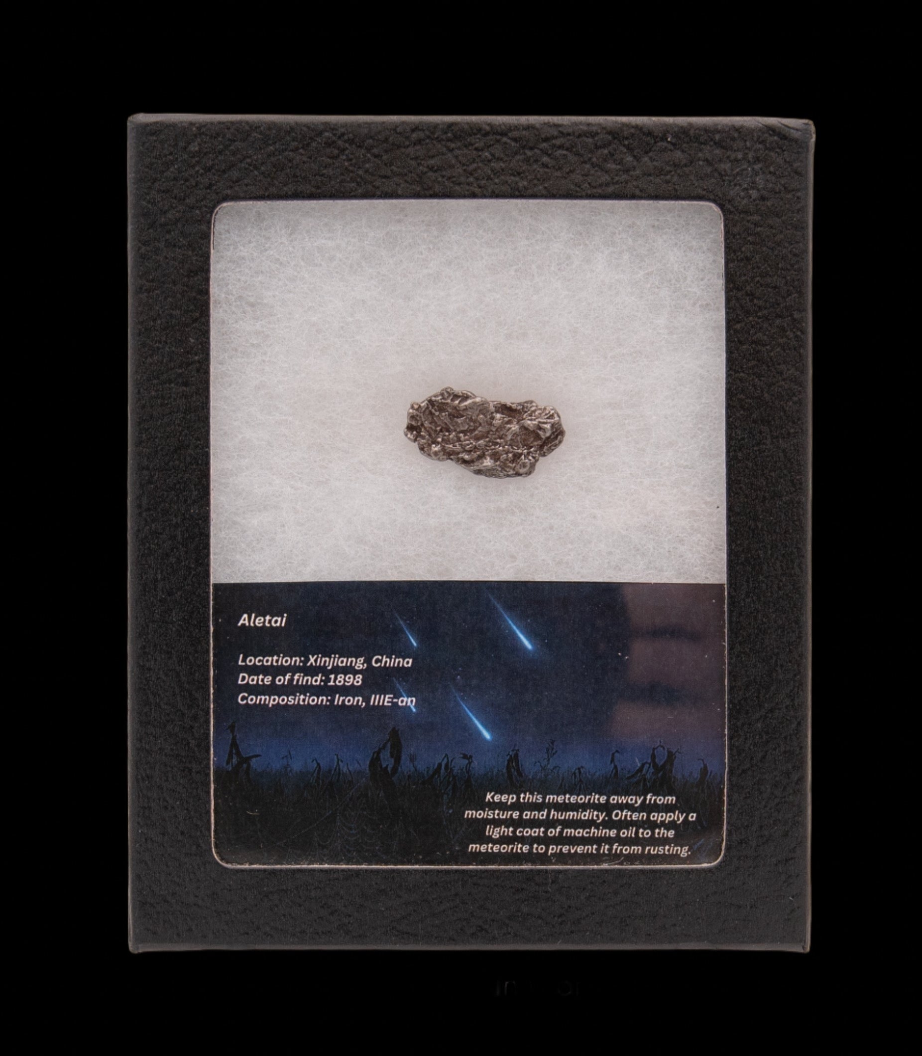 Aletai Meteorite