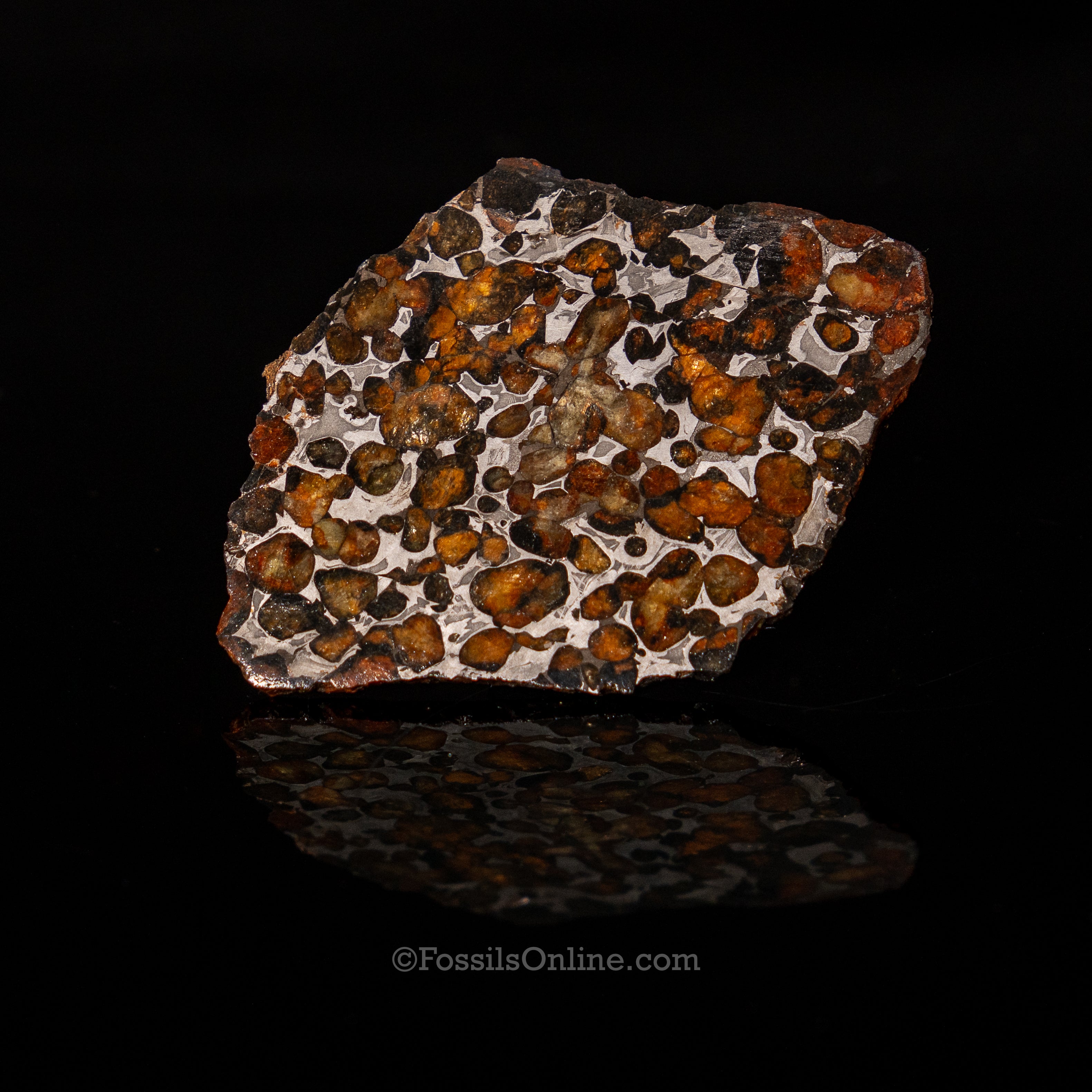 Sericho Meteorite Slice 53gr