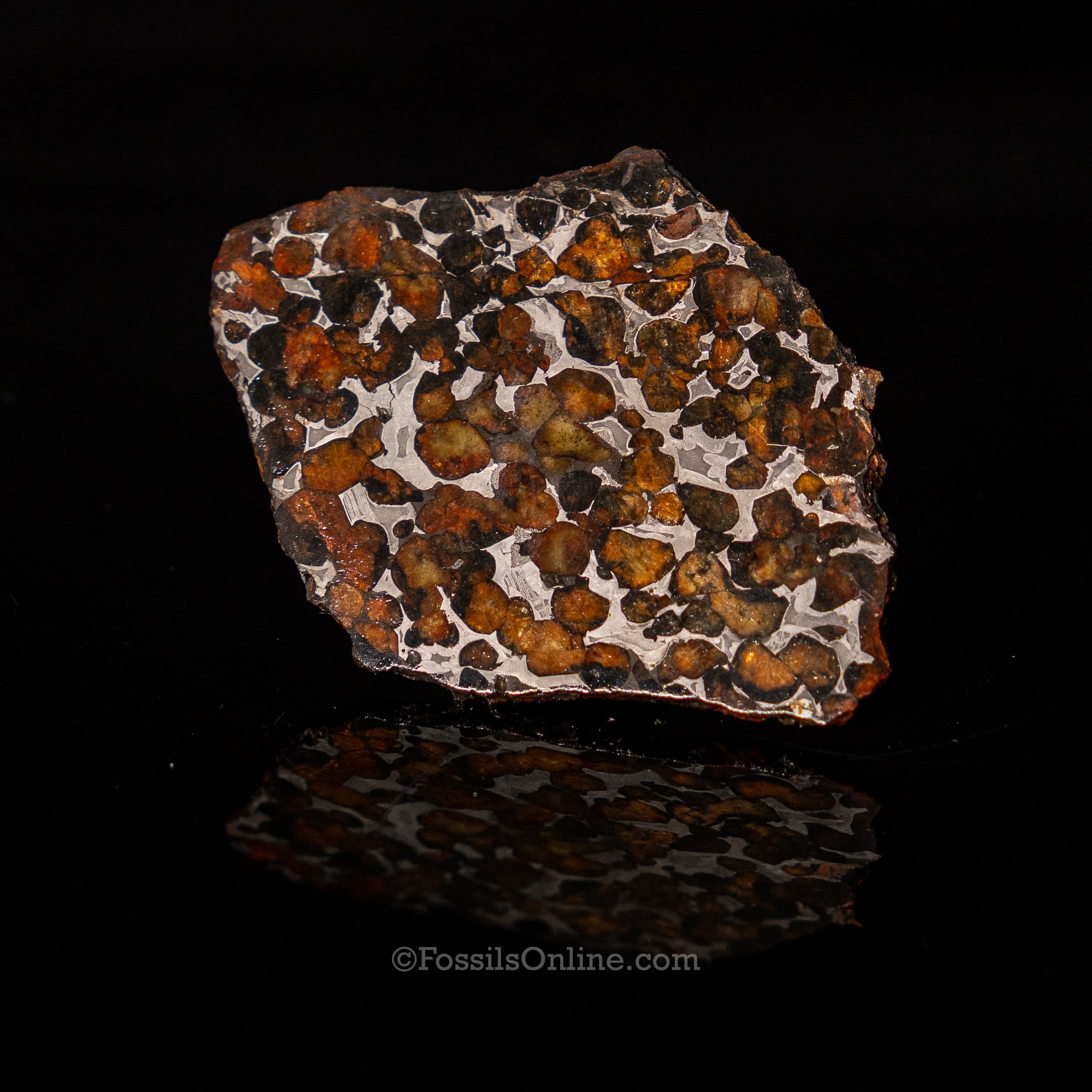 Sericho Meteorite Slice 53gr