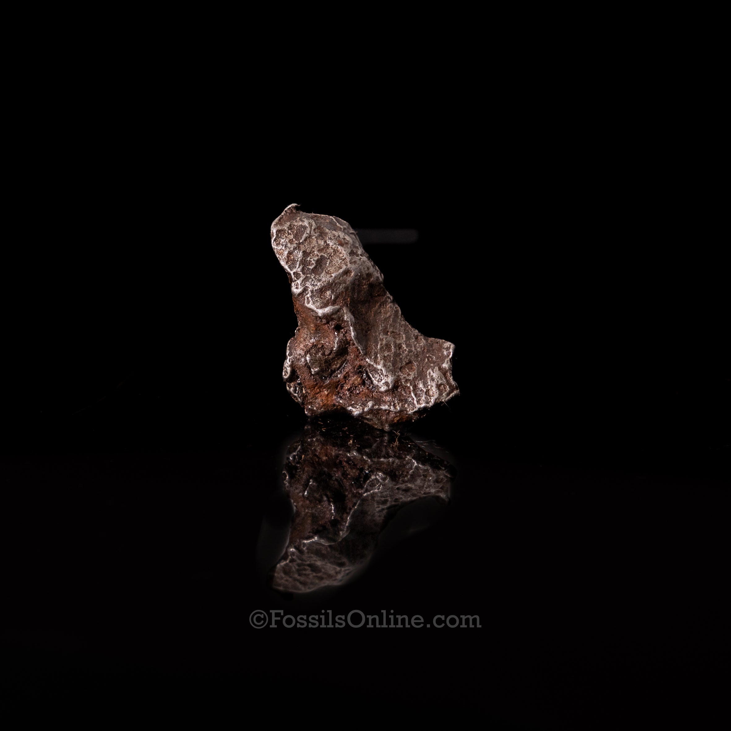Genuine Sikhote-Alin Meteorite in Glass Dome