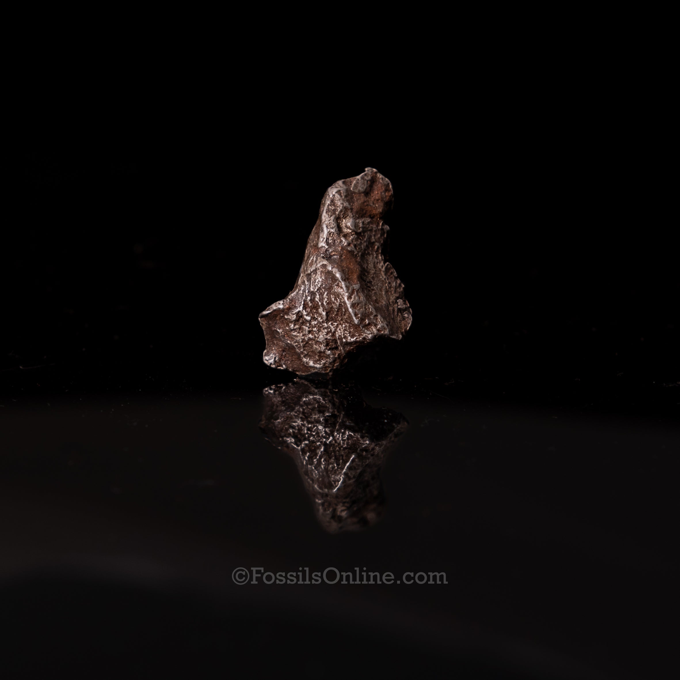 Genuine Sikhote-Alin Meteorite in Glass Dome
