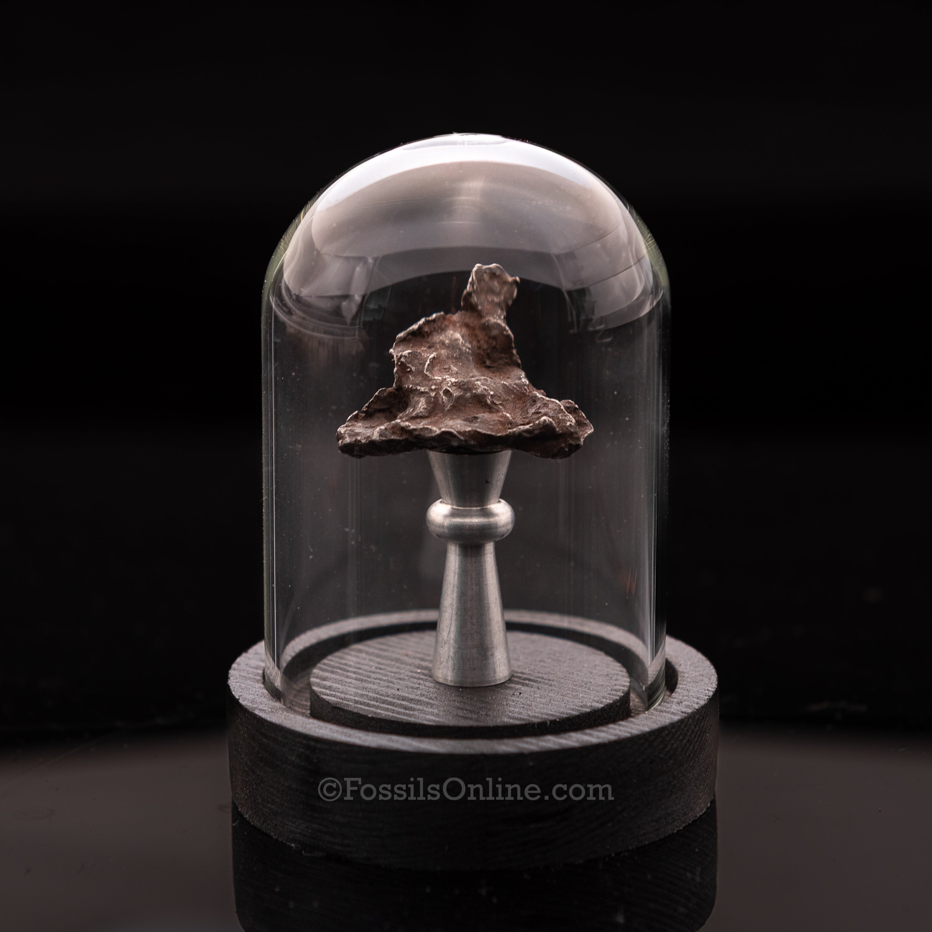 Genuine Sikhote-Alin Meteorite in Glass Dome