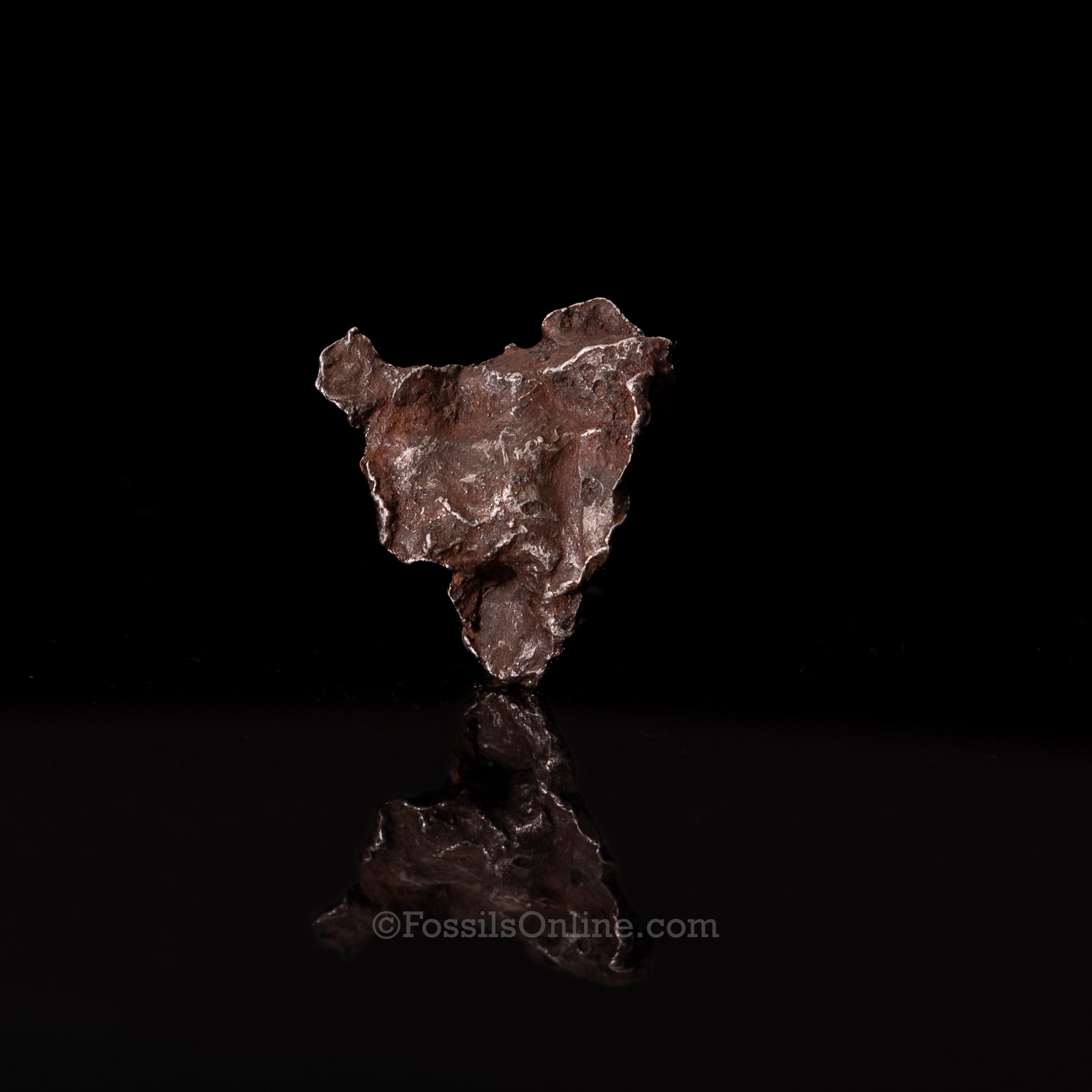Genuine Sikhote-Alin Meteorite in Glass Dome