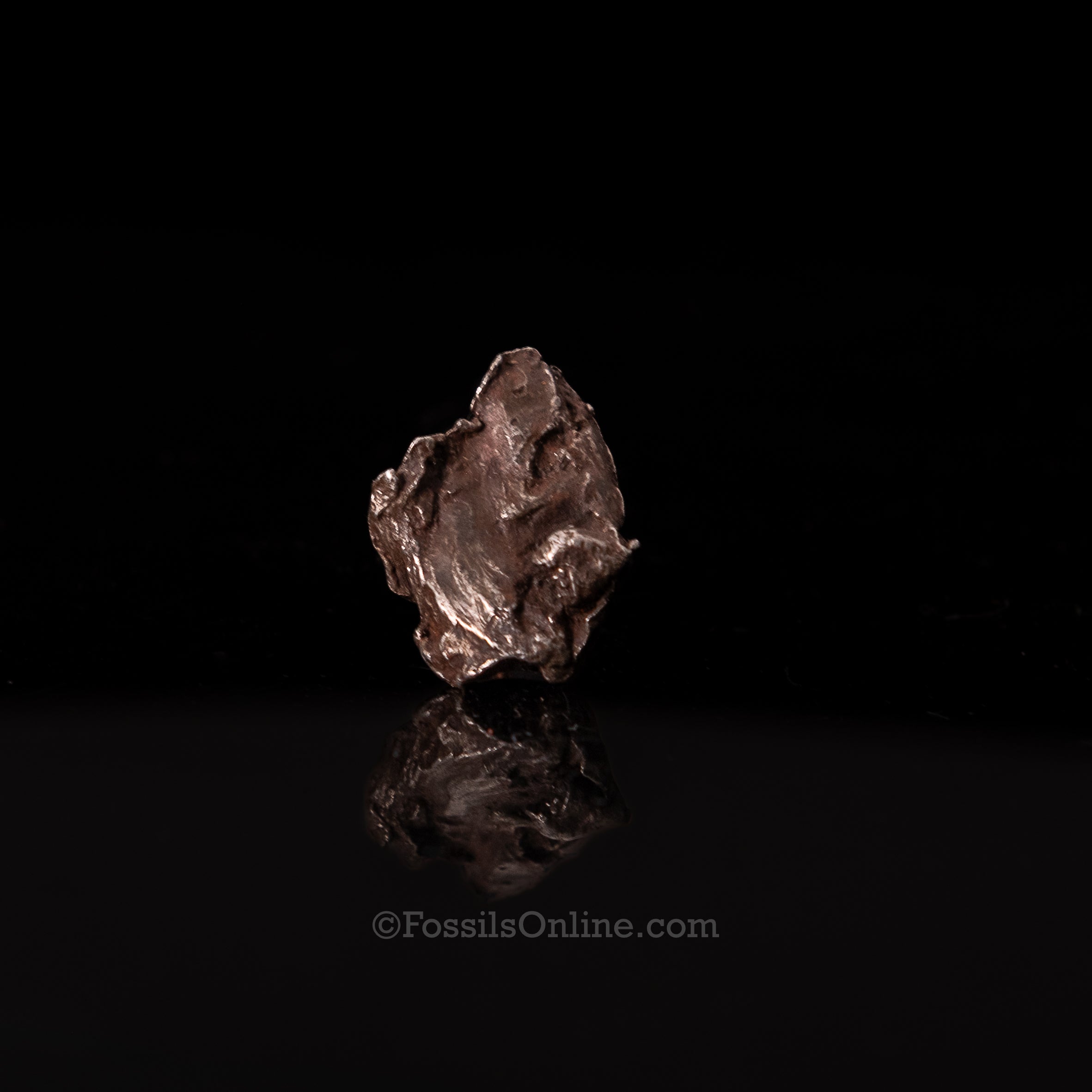 Genuine Sikhote-Alin Meteorite in Glass Dome