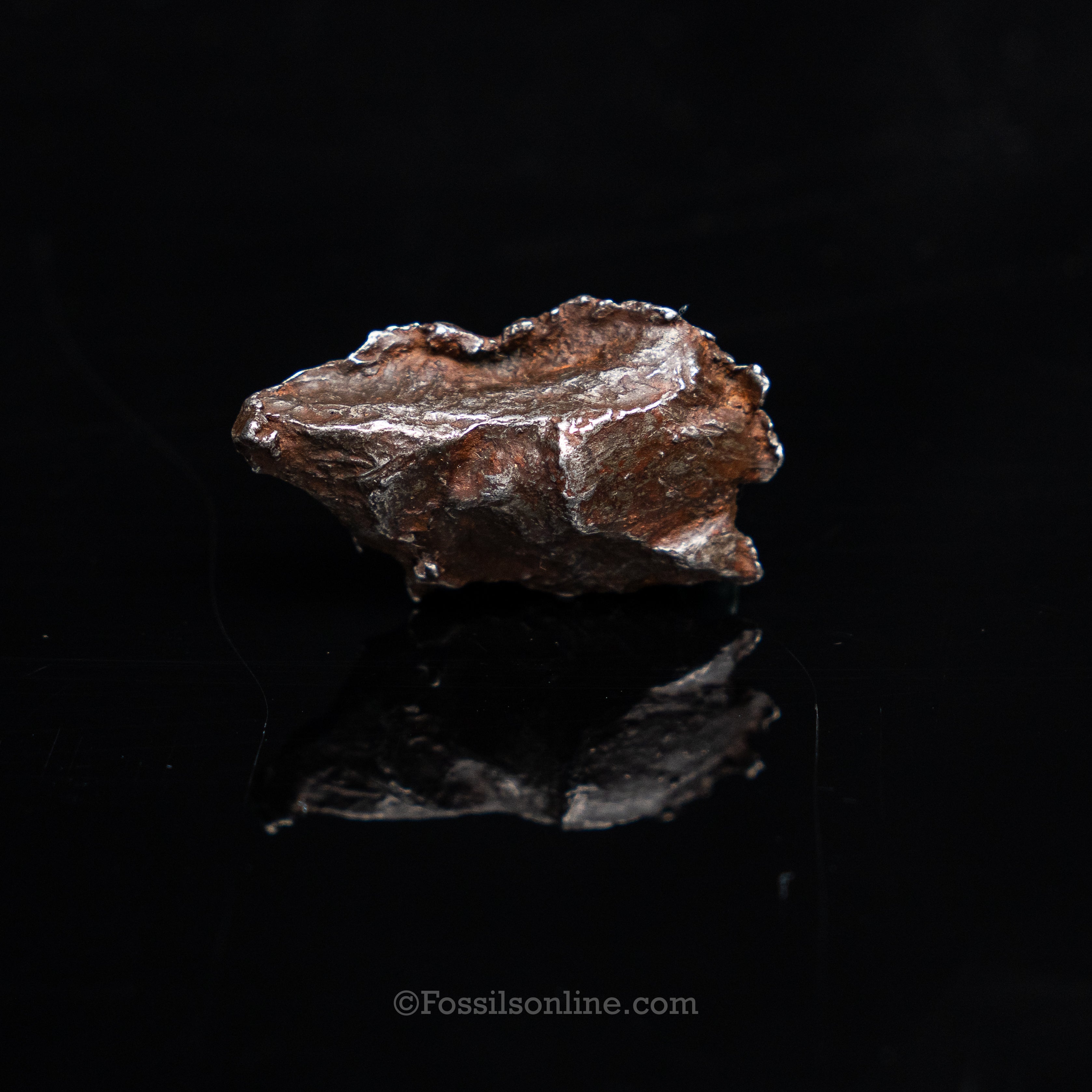 Genuine Sikhote-Alin Meteorite in Glass Dome