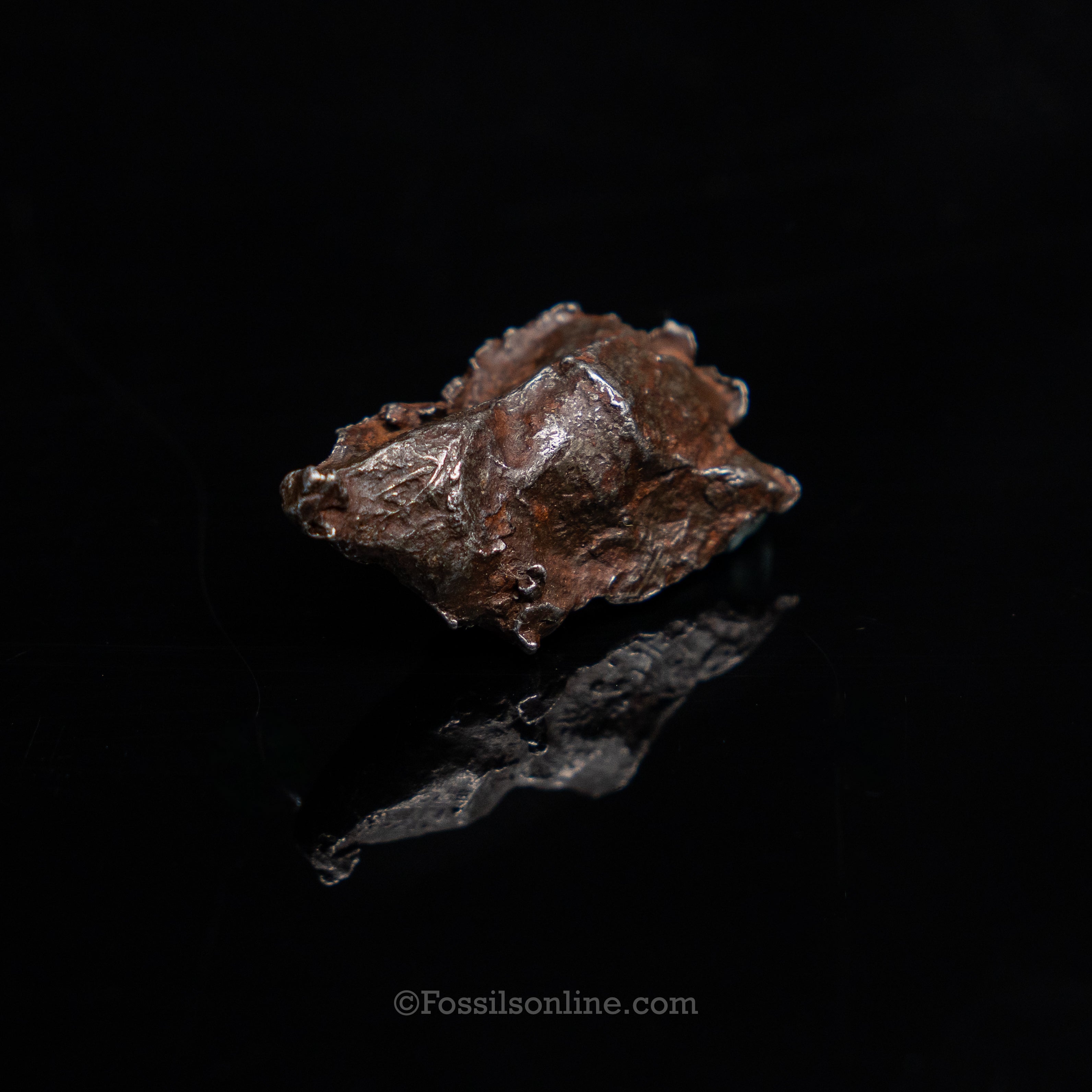 Genuine Sikhote-Alin Meteorite in Glass Dome