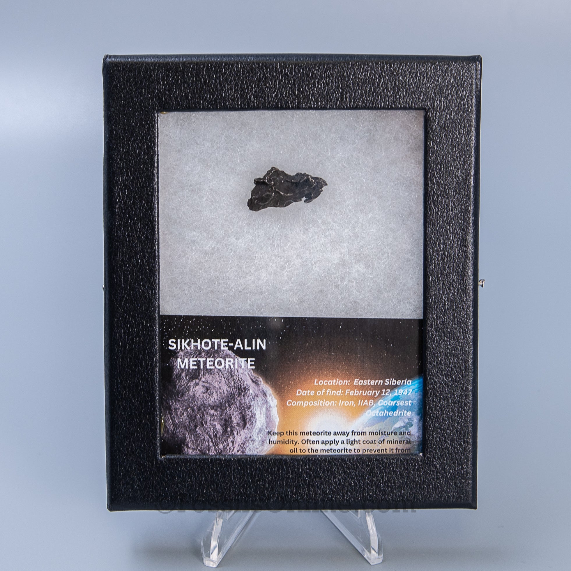 Sikhote-Alin Meteorite in a case