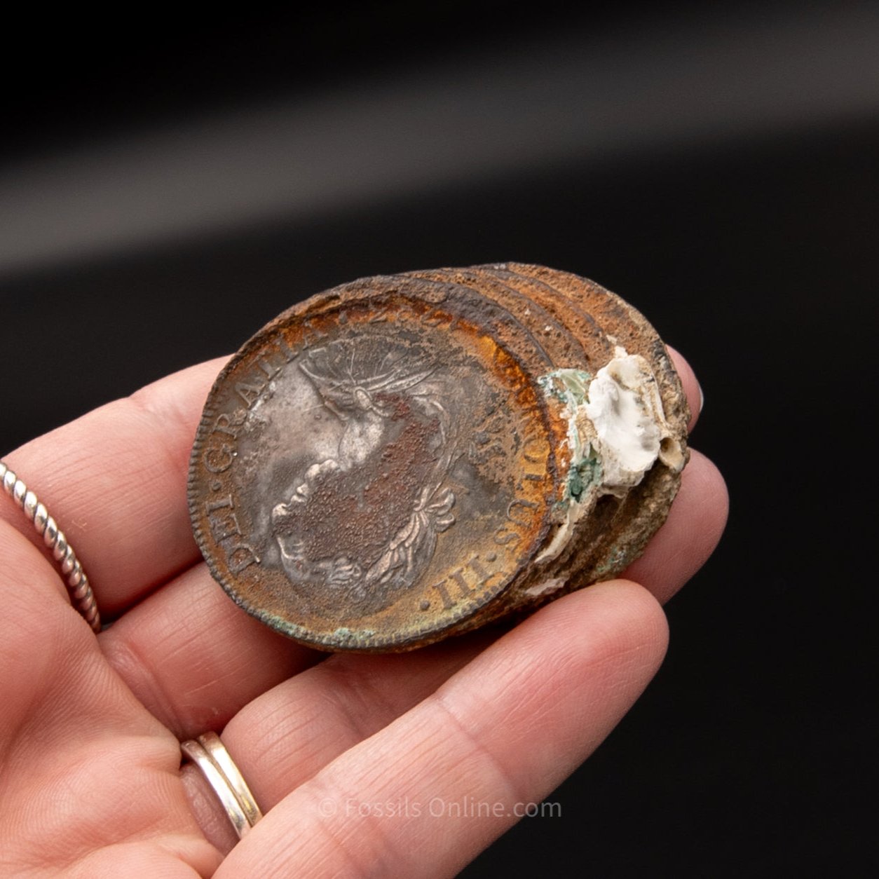 Clump of El Cazador Shipwreck Coins