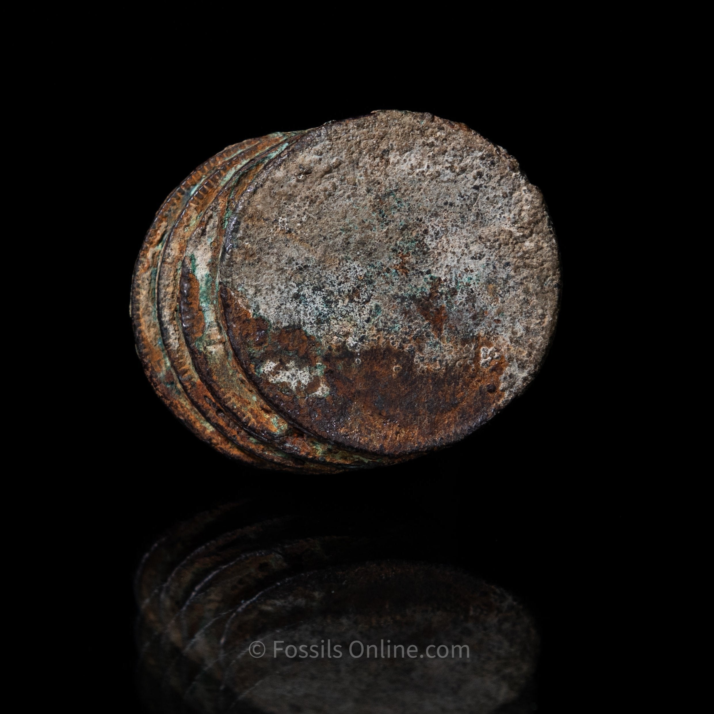 Clump of El Cazador Shipwreck Coins