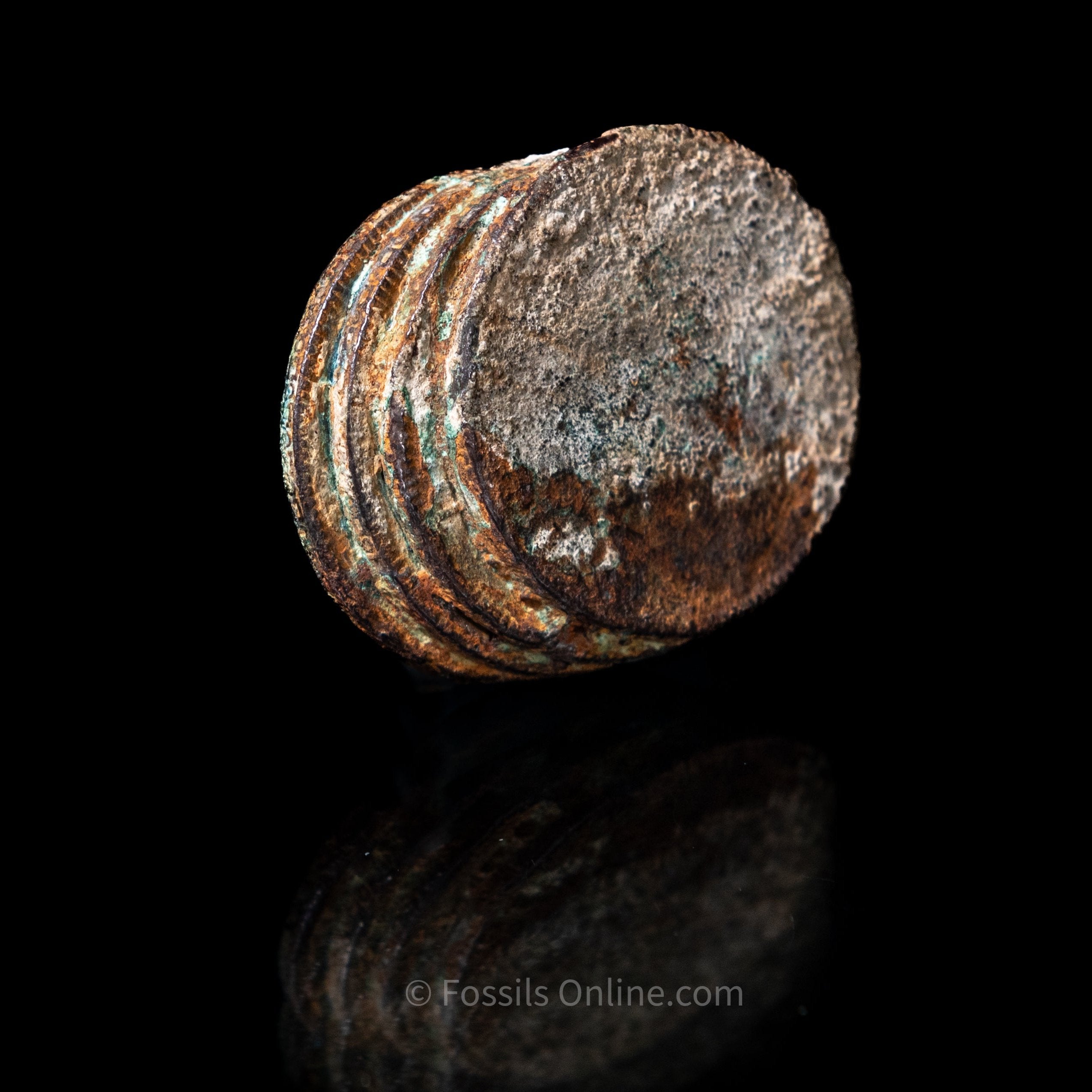 Clump of El Cazador Shipwreck Coins