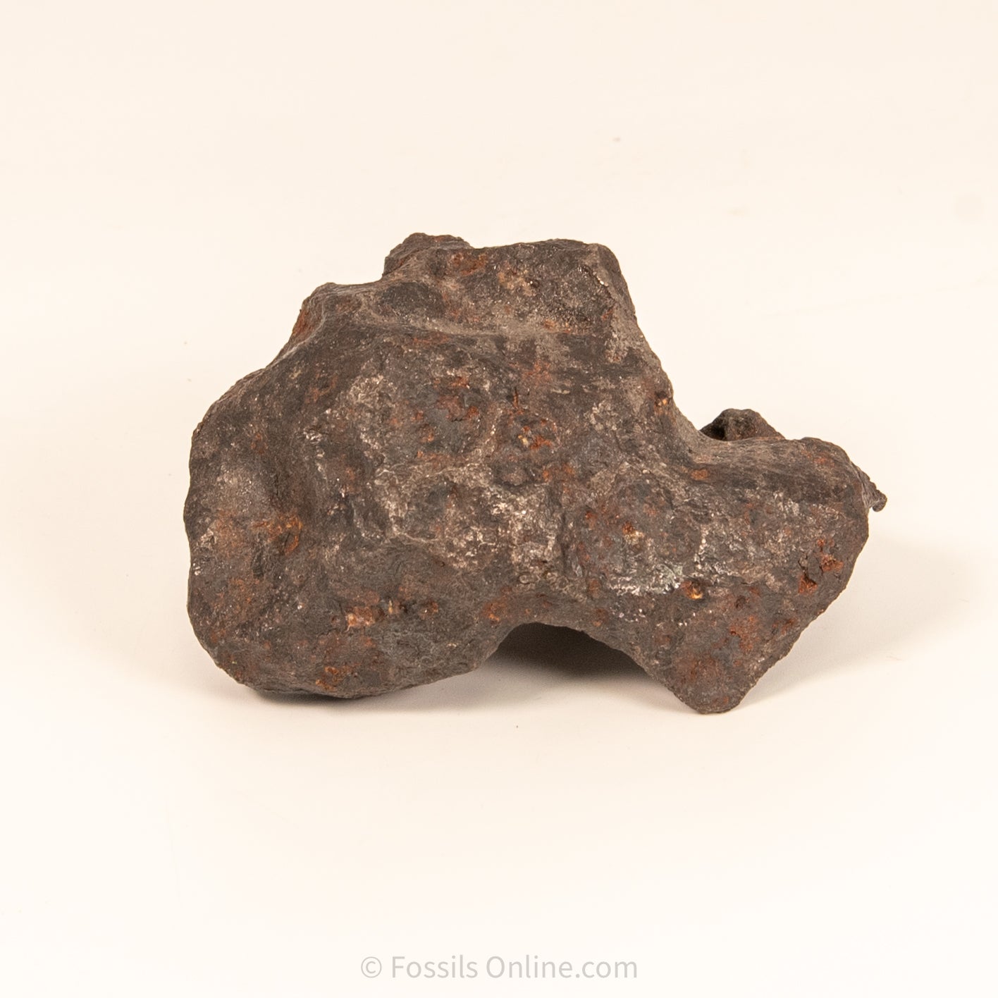 Campo del Cielo Meteorite 1030g