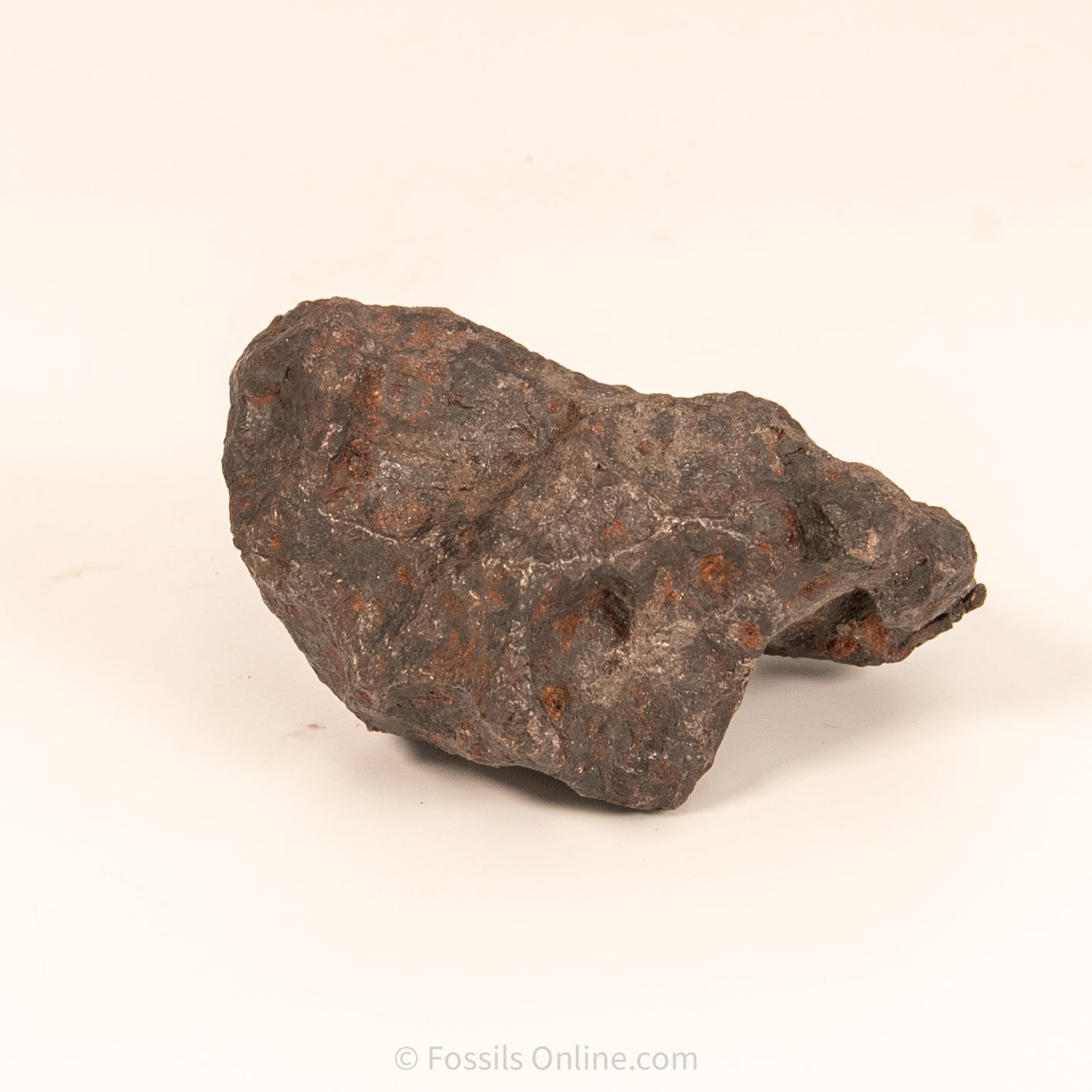 Campo del Cielo Meteorite 1030g