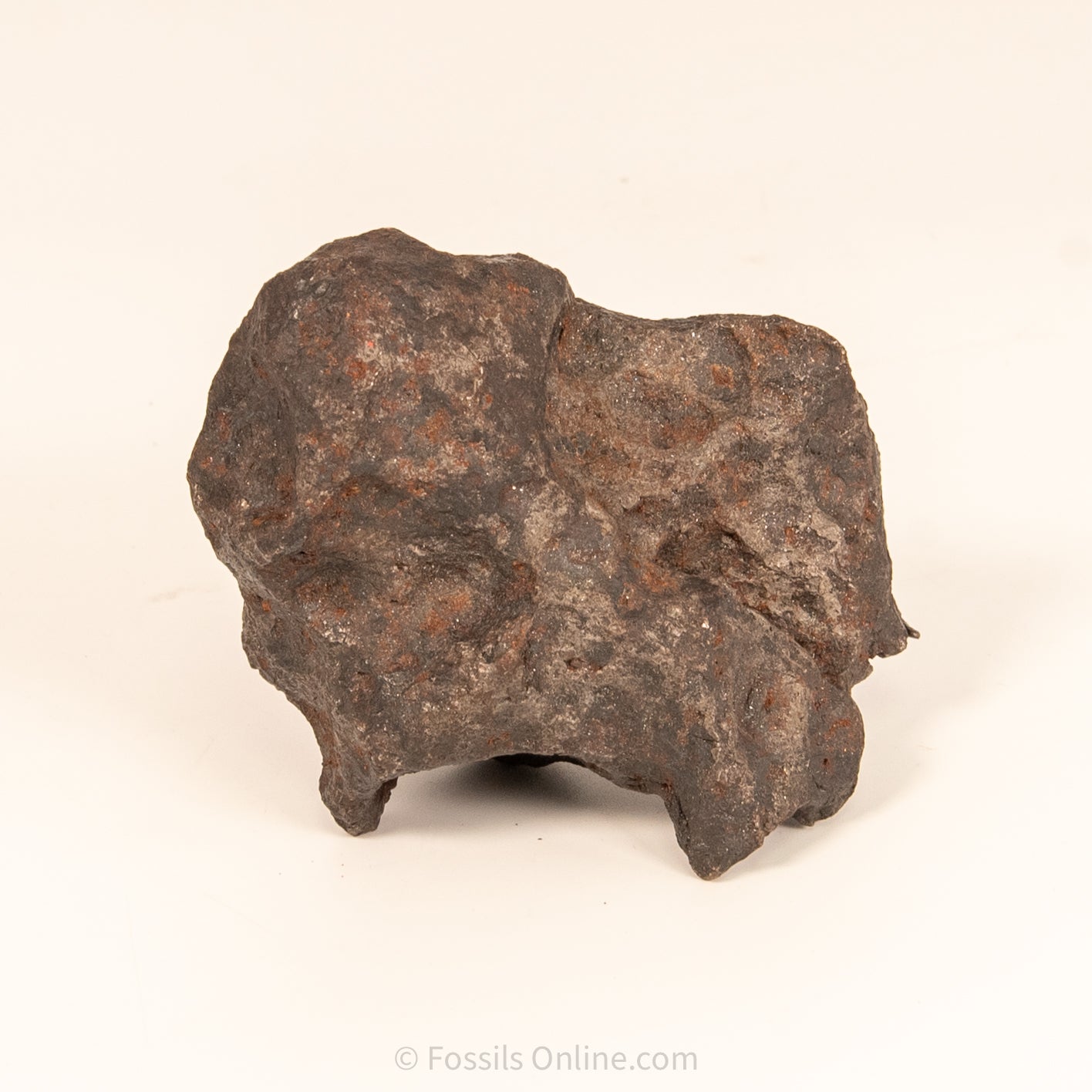 Campo del Cielo Meteorite 1030g