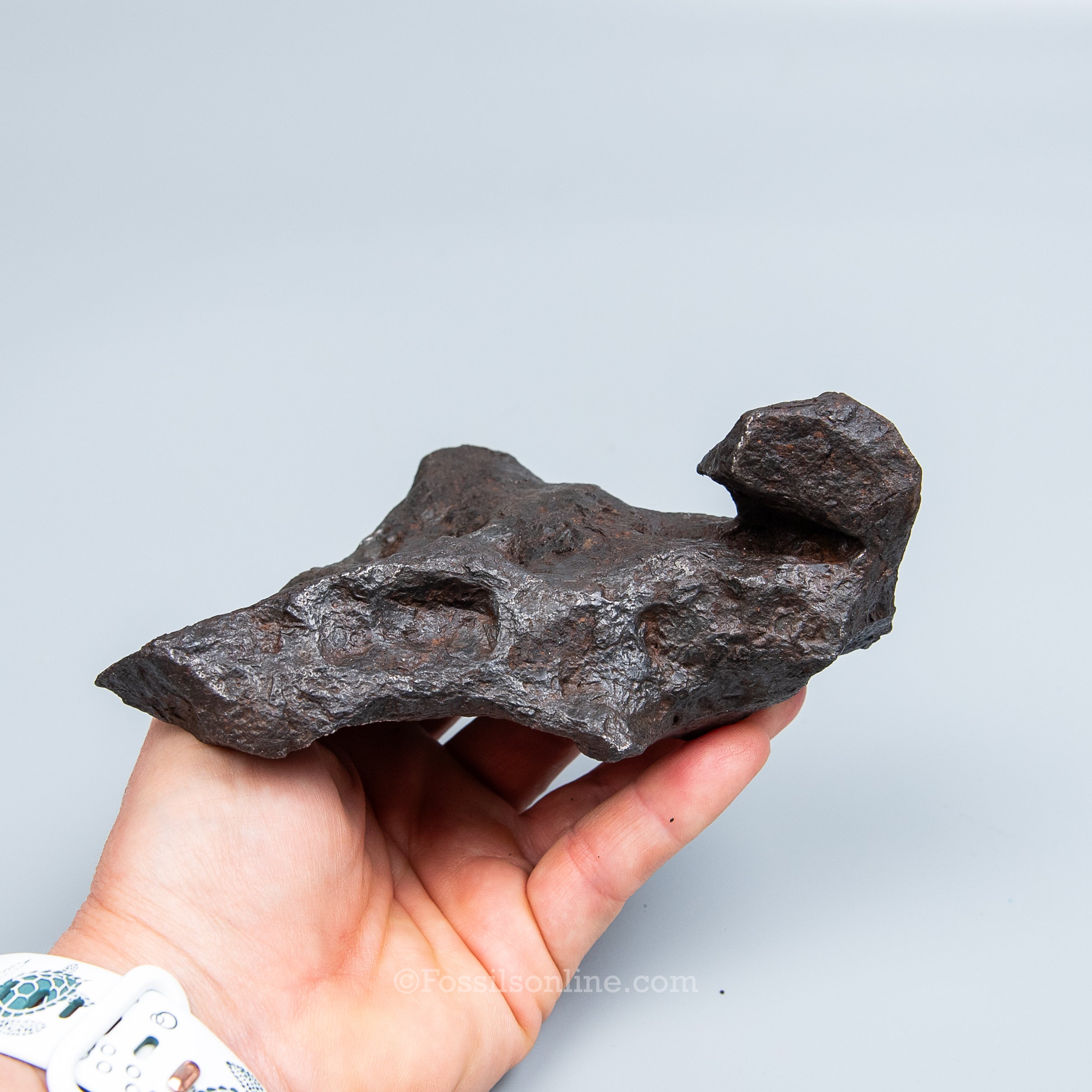 Genuine Campo del Cielo Meteorite 1125GR