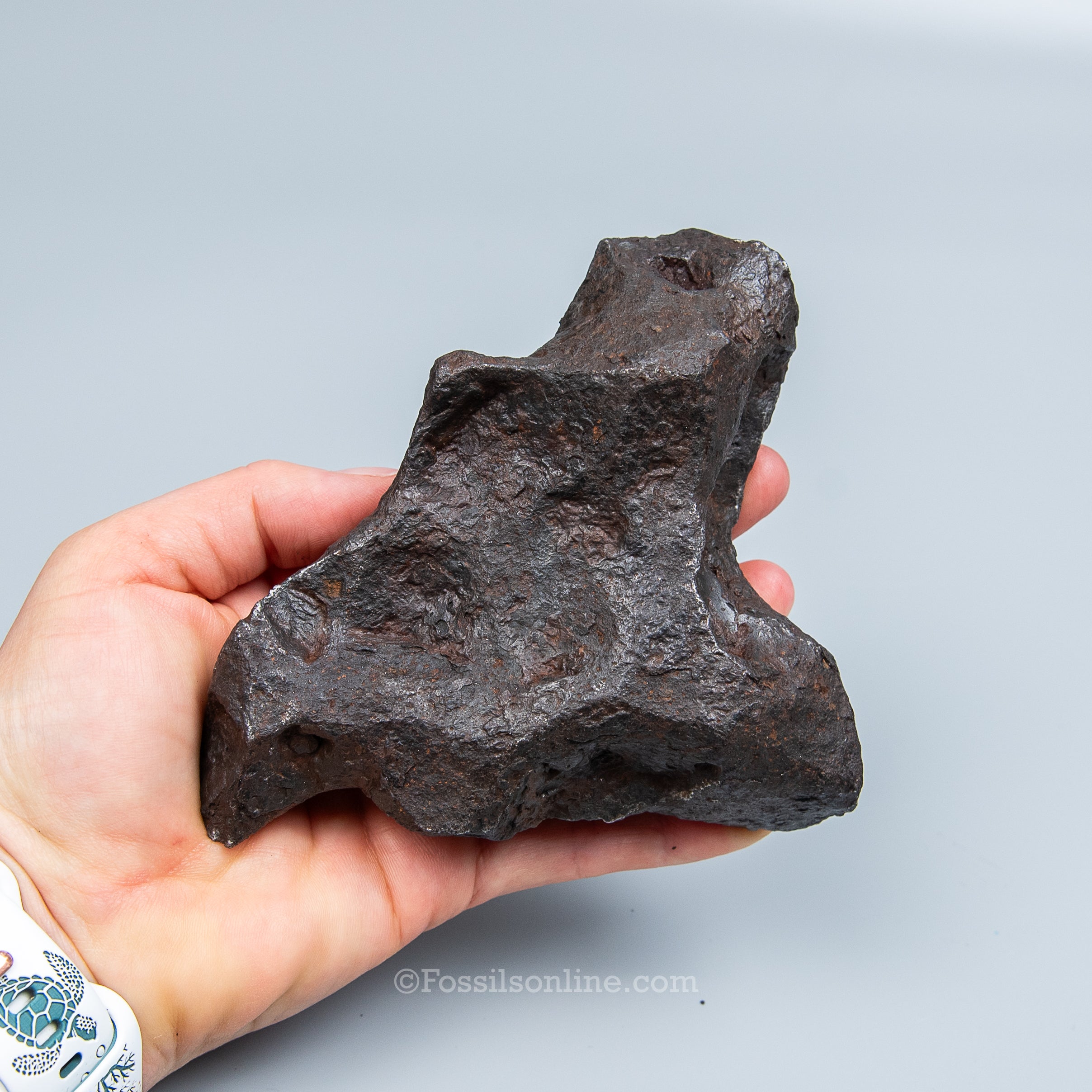 Genuine Campo del Cielo Meteorite 1125GR