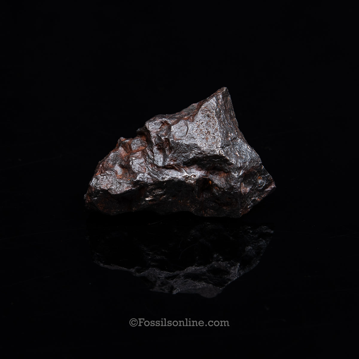 Genuine Campo del Cielo Meteorite 266GR