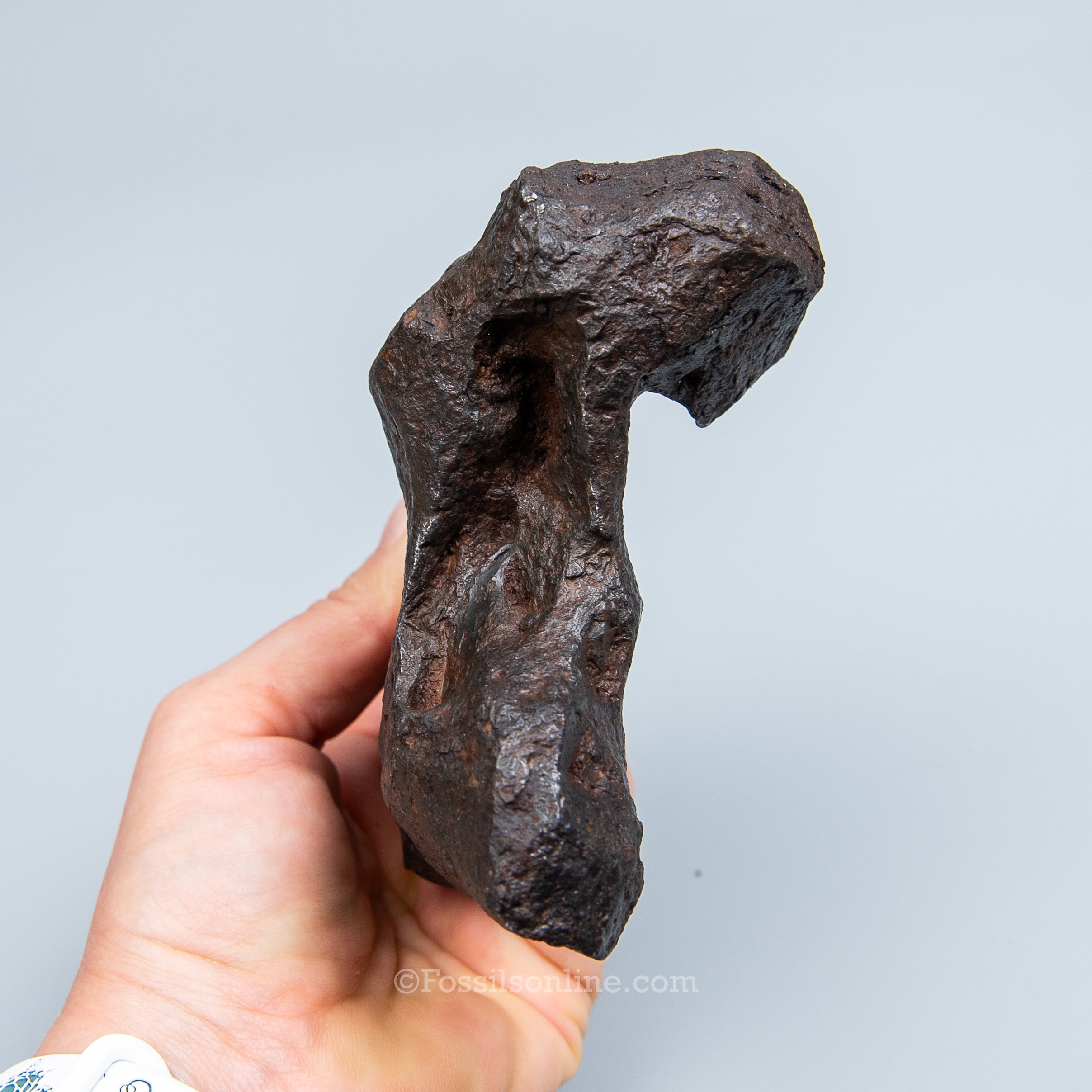 Genuine Campo del Cielo Meteorite 1125GR