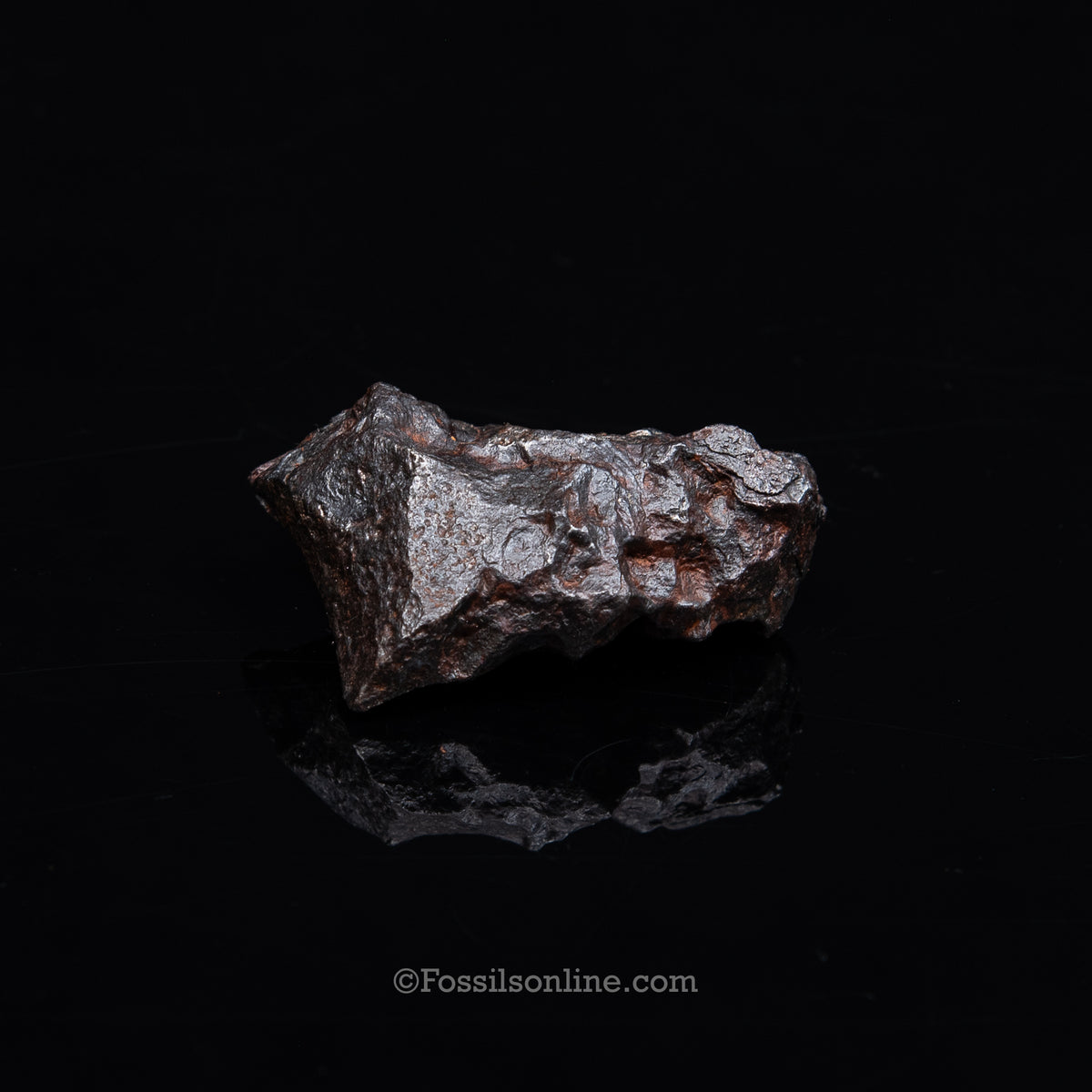 Genuine Campo del Cielo Meteorite 266GR