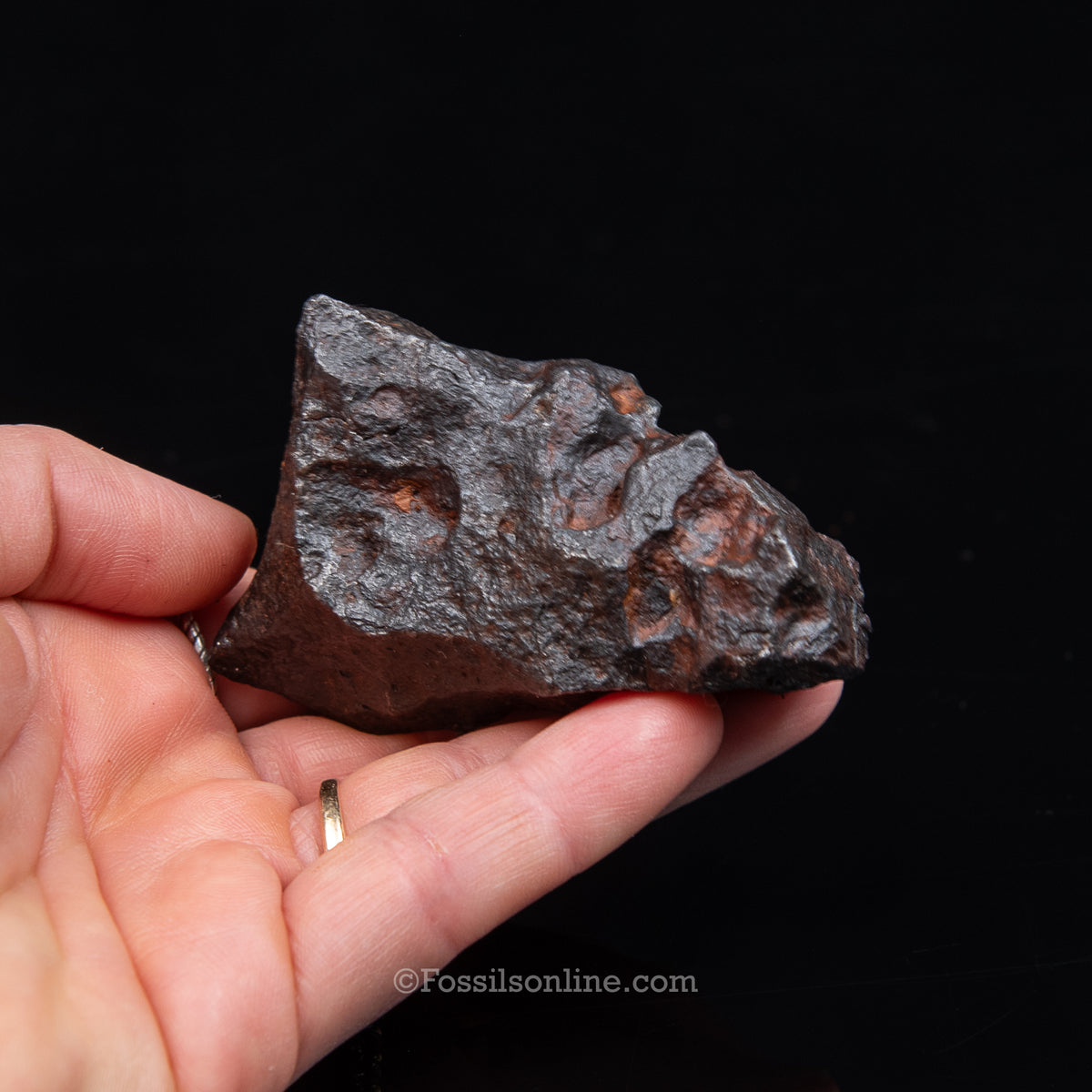 Genuine Campo del Cielo Meteorite 266GR