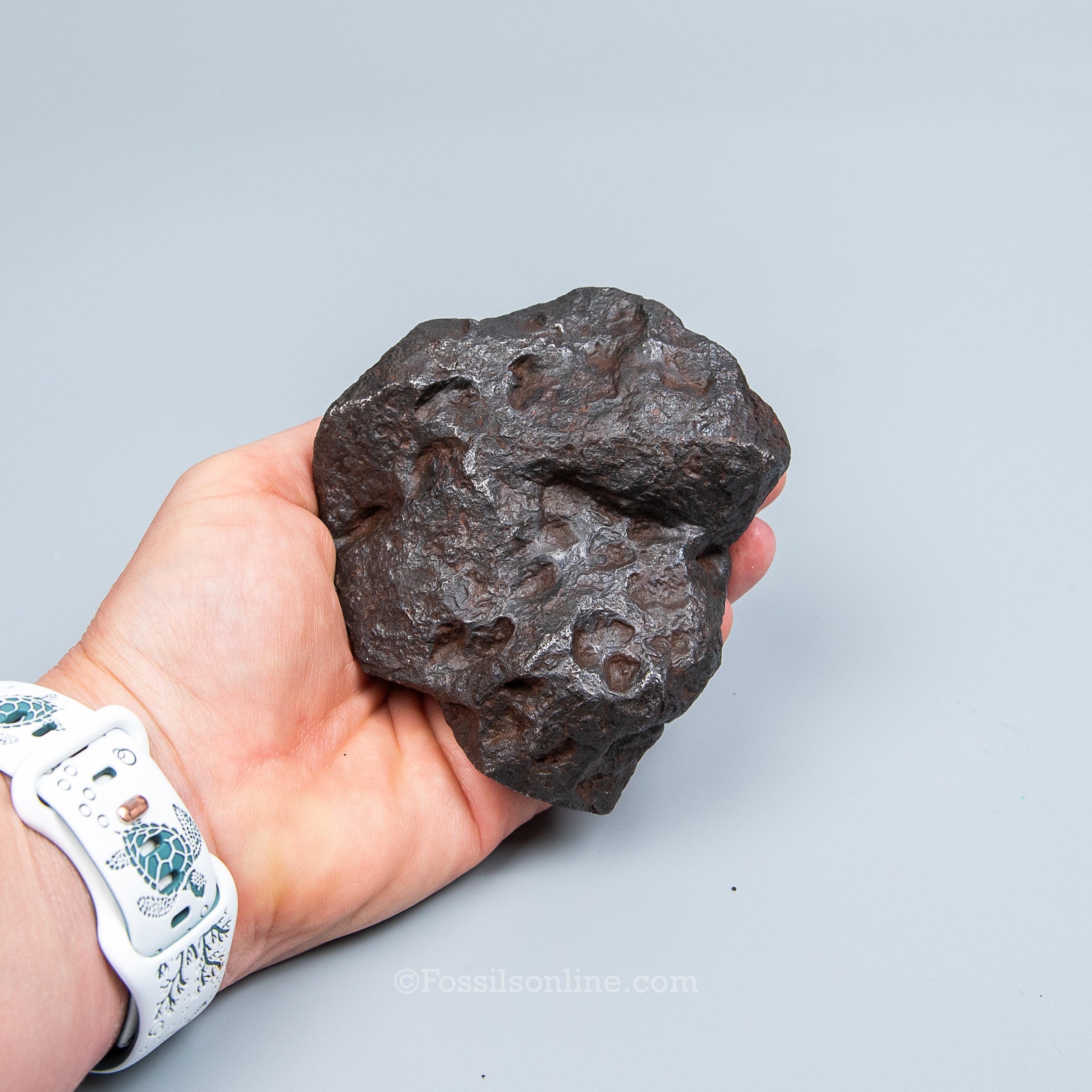 Genuine Campo del Cielo Meteorite 1075GR