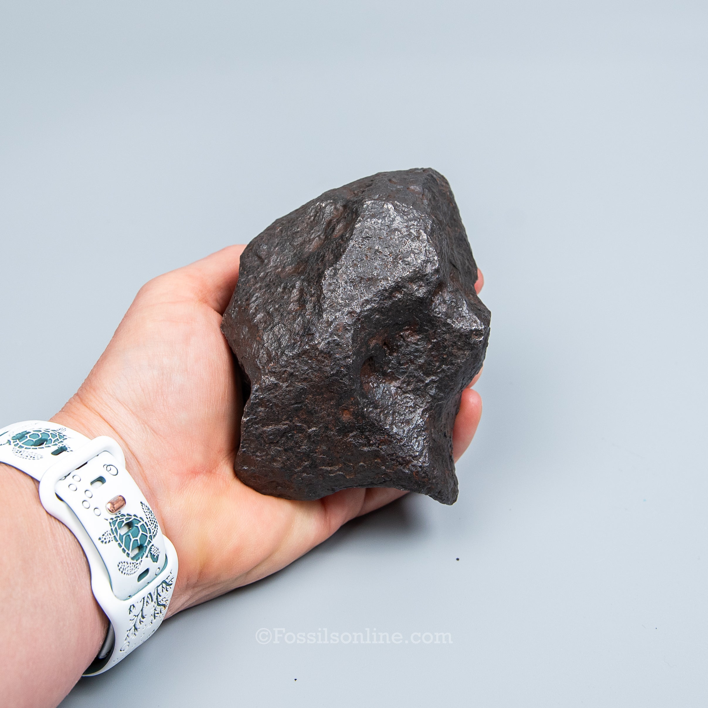 Genuine Campo del Cielo Meteorite 1410GR