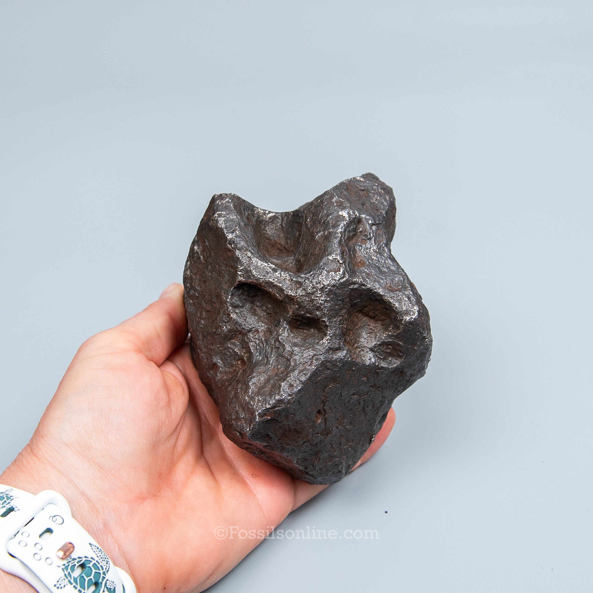 Genuine Campo del Cielo Meteorite 2195GR