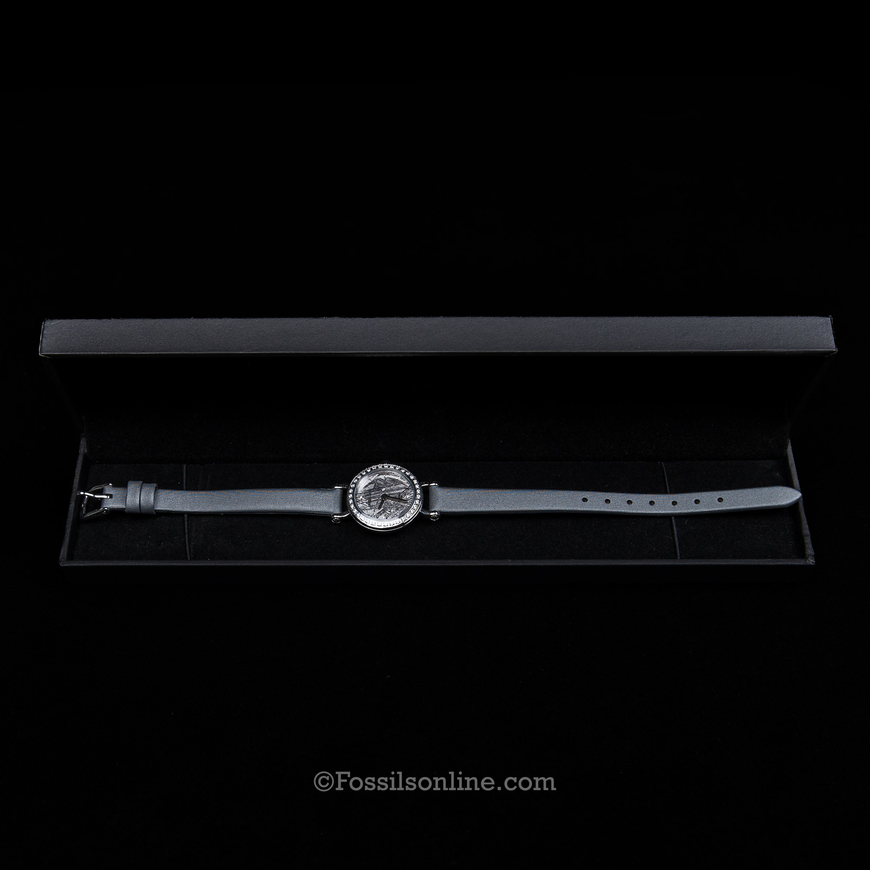 Muonionalusta Meteorite Watch