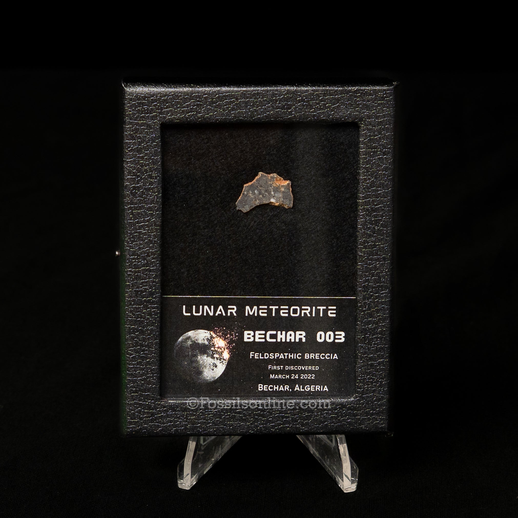 Bechar 003 Lunar Meteorite Slice