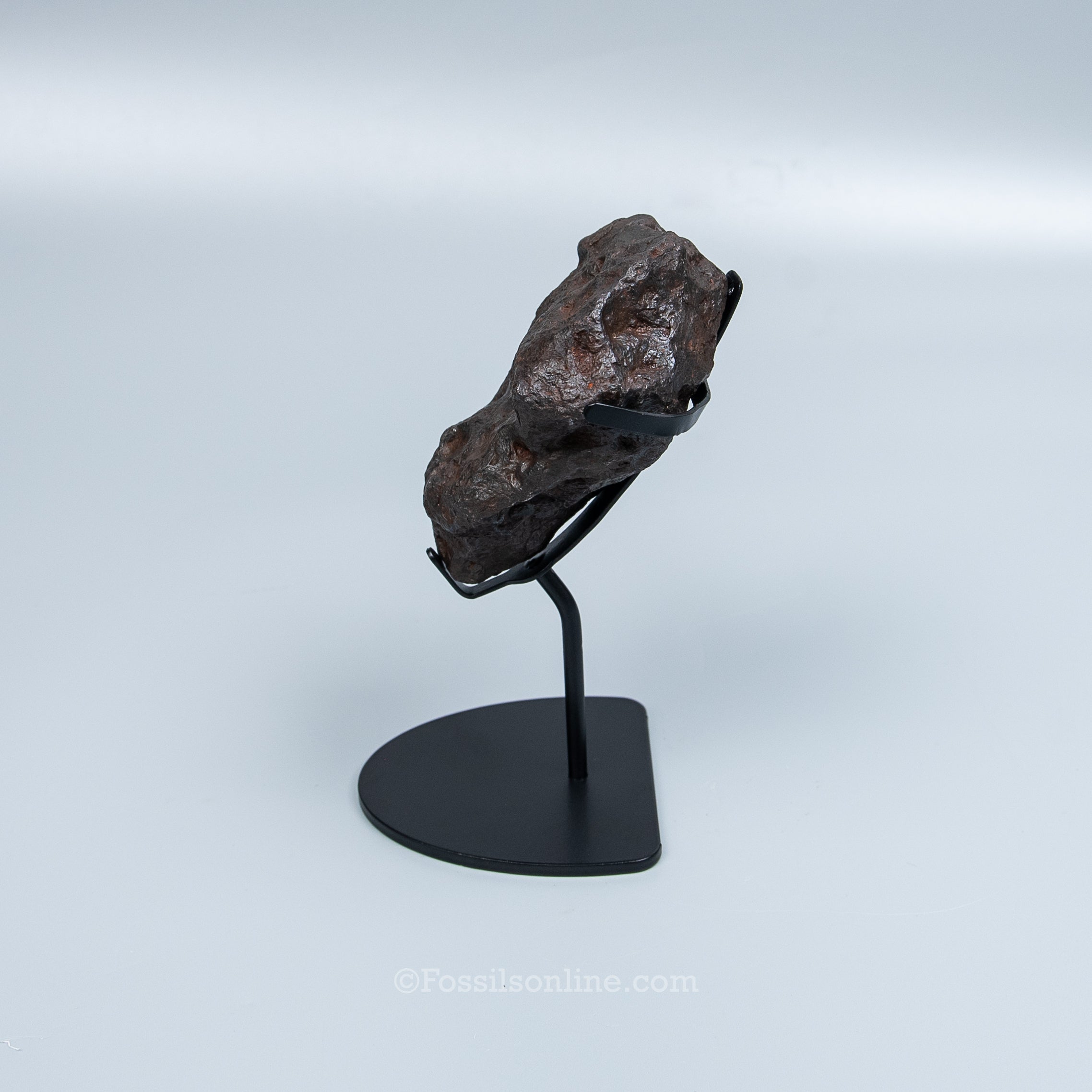 Genuine Campo del Cielo Meteorite 1075GR
