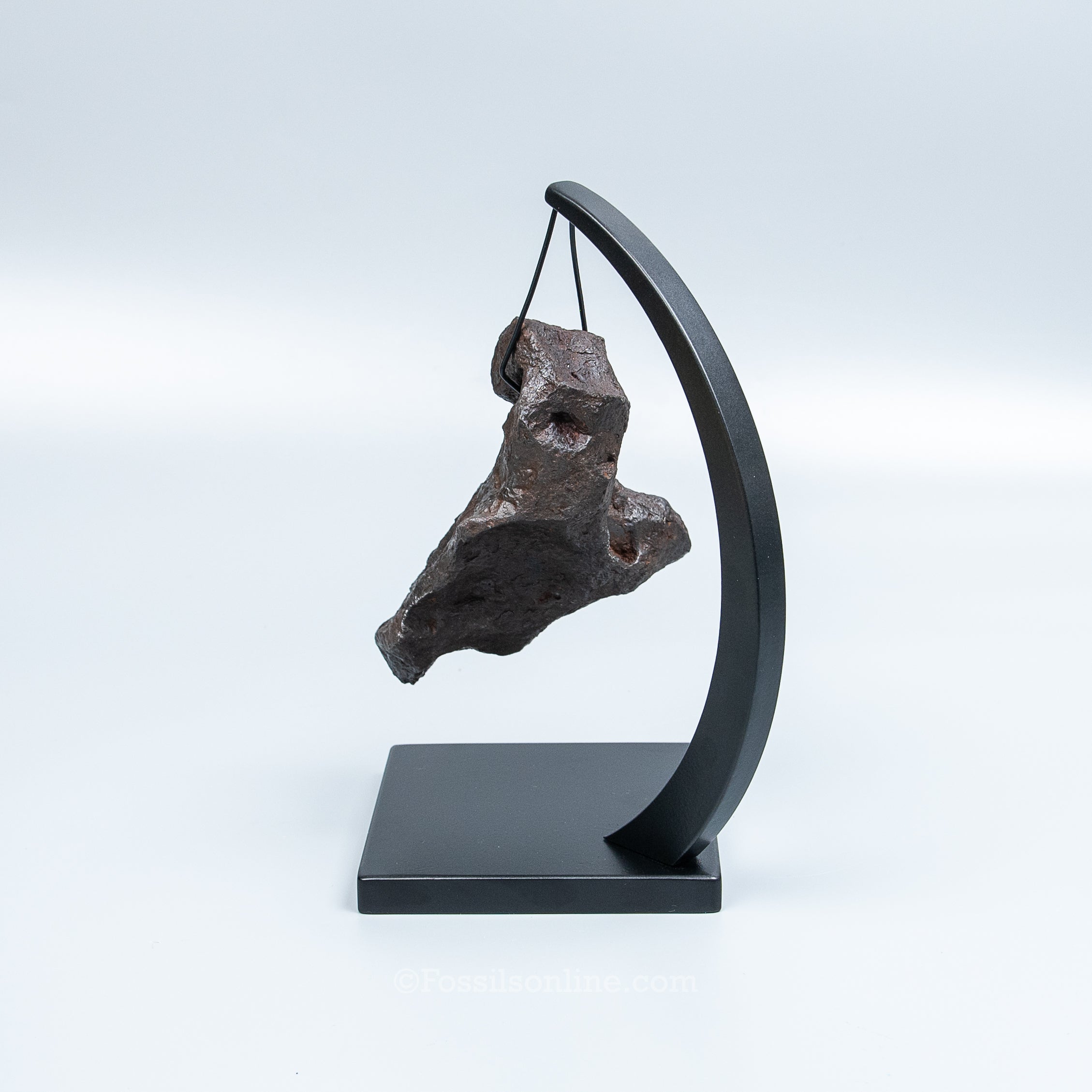 Genuine Campo del Cielo Meteorite 1125GR