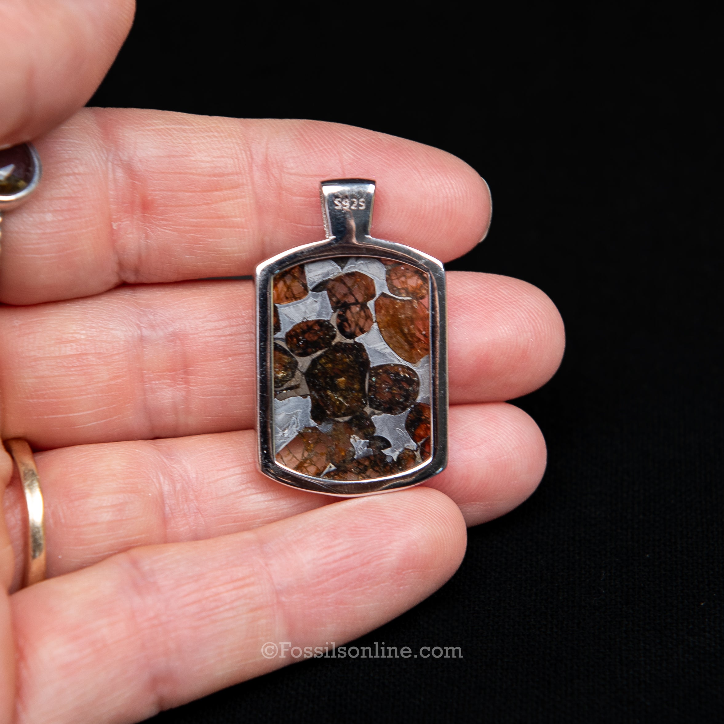 Sericho Meteorite Pendant .925