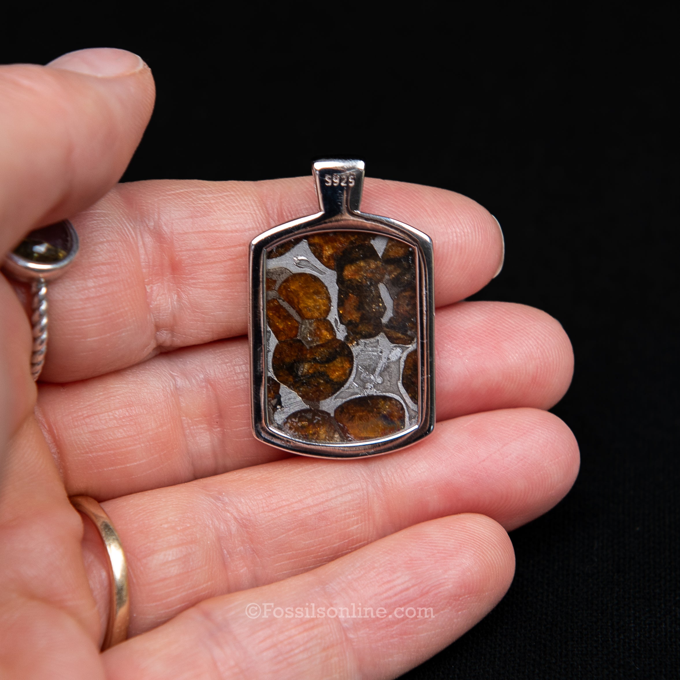 Sericho Meteorite Pendant .925