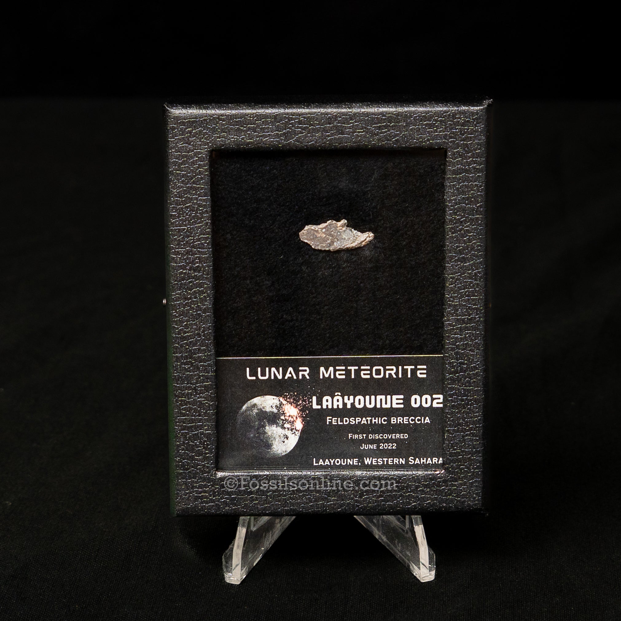 Laâyoune 002 Lunar Meteorite Slice