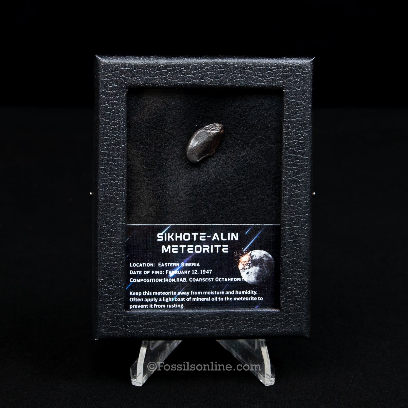 Sikhote-Alin Meteorite in a case