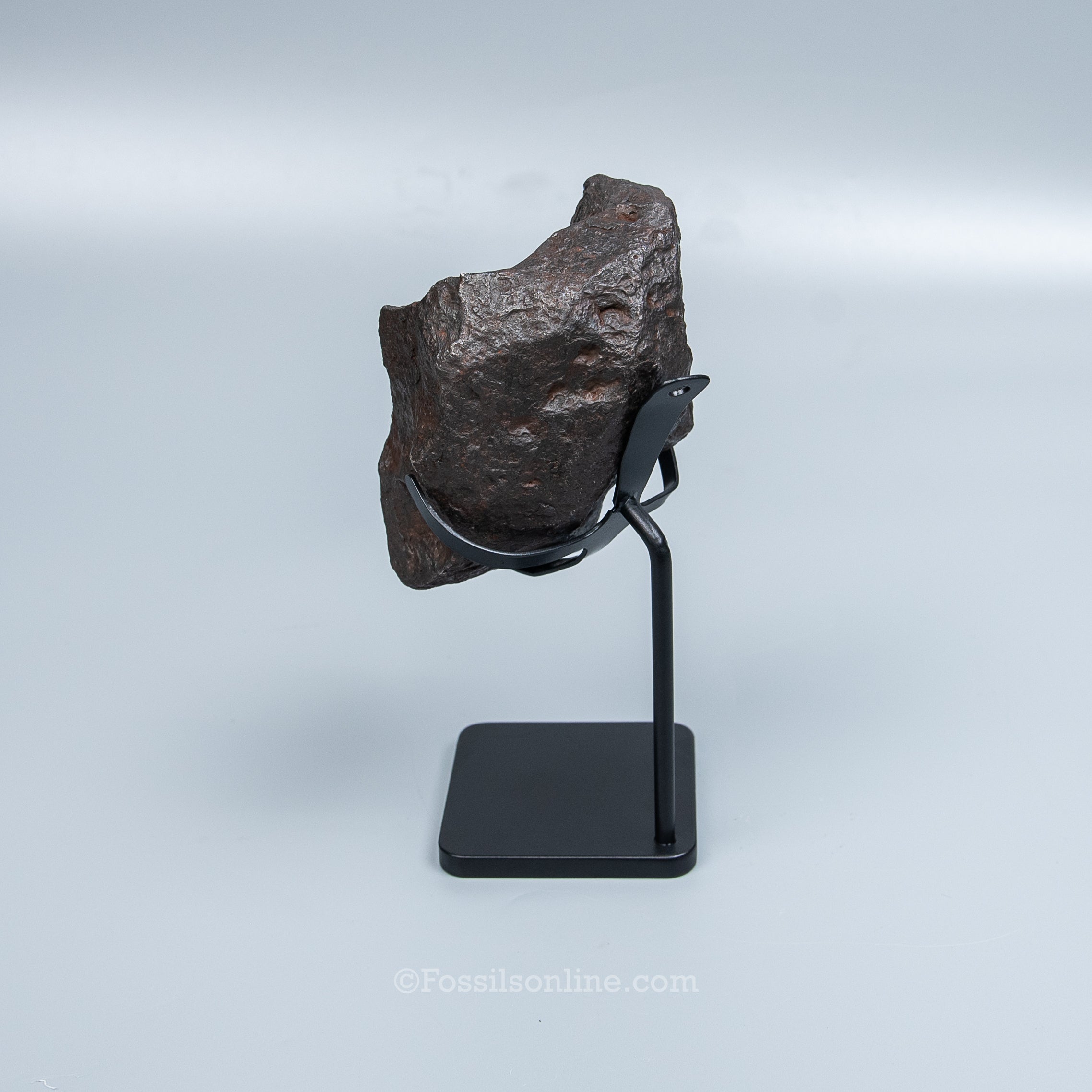 Genuine Campo del Cielo Meteorite 1410GR