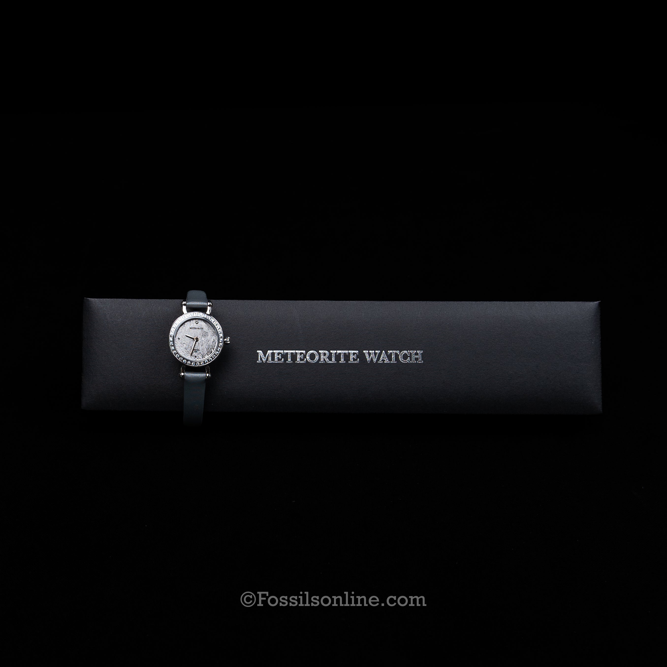 Muonionalusta Meteorite Watch