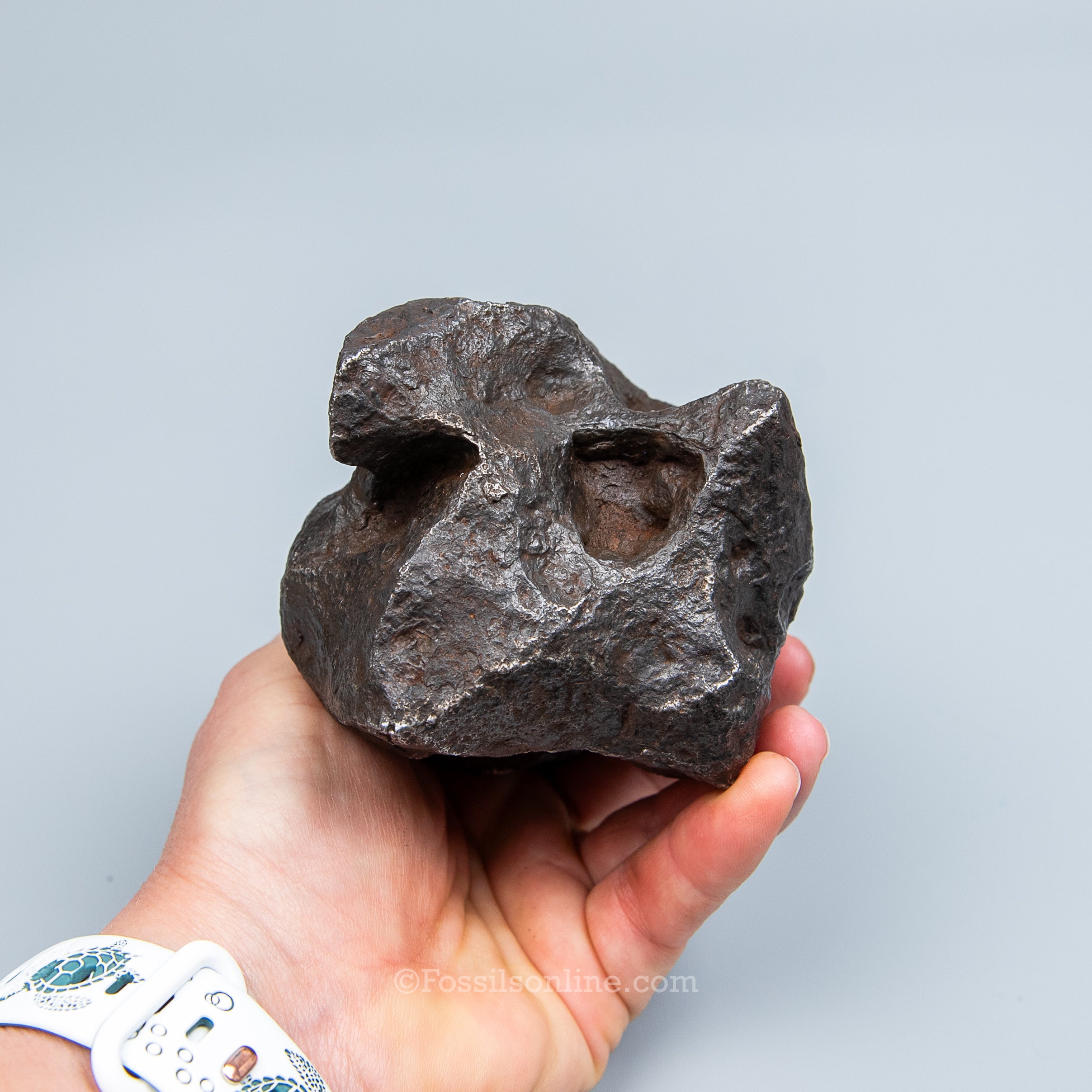 Genuine Campo del Cielo Meteorite 2195GR