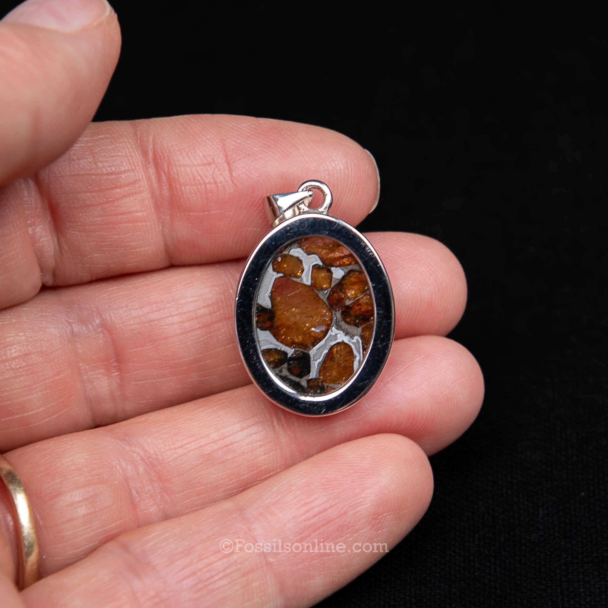 Sericho Meteorite Pendant .925