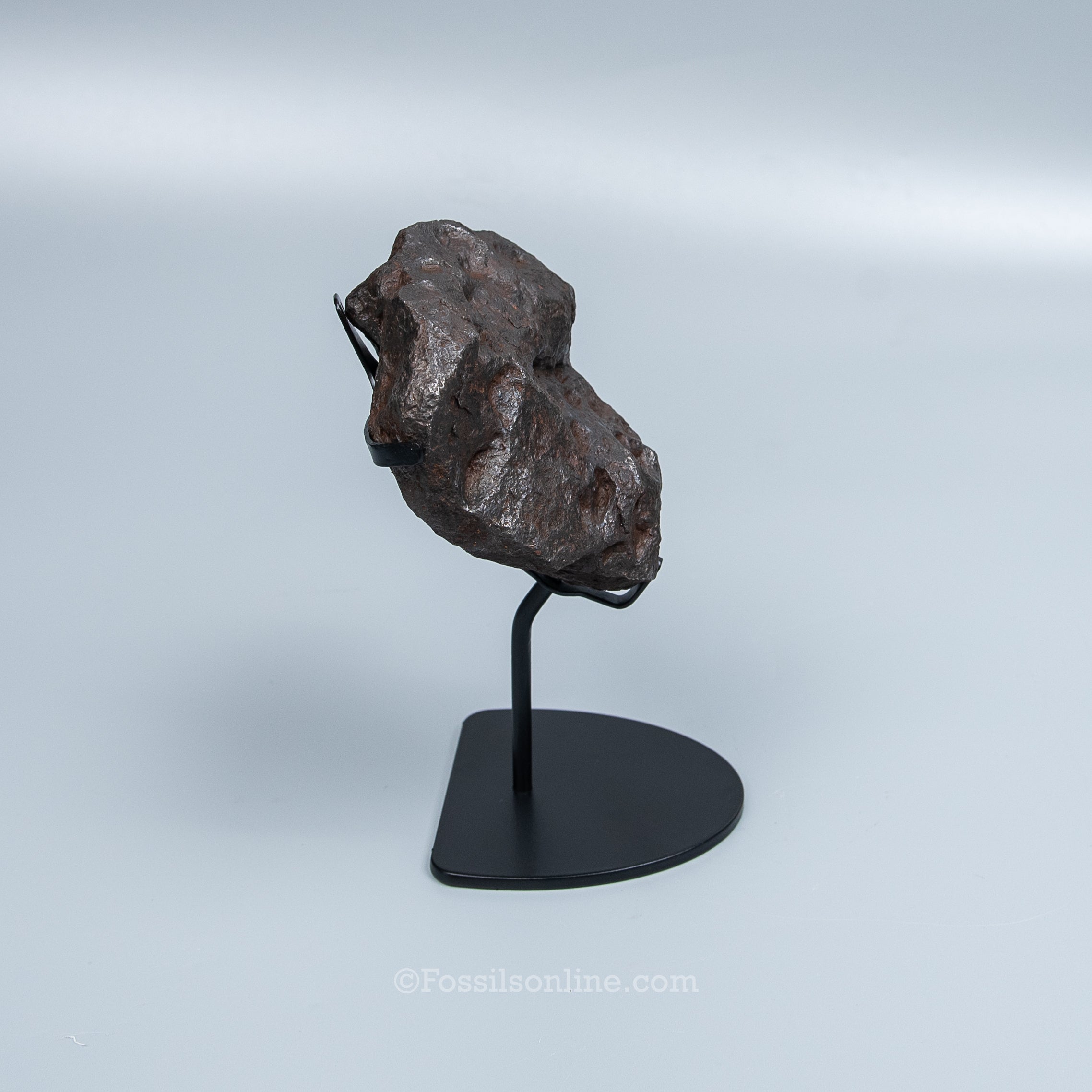 Genuine Campo del Cielo Meteorite 1075GR