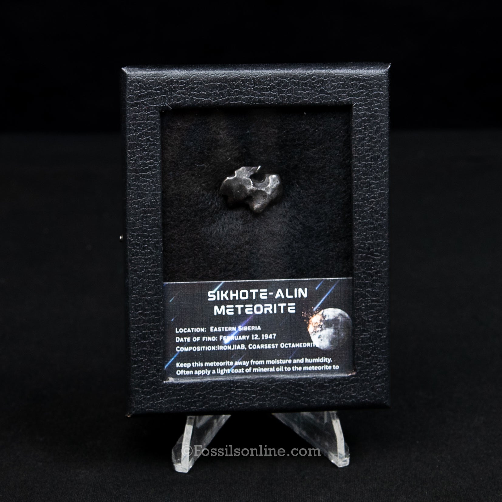 Sikhote-Alin Meteorite in a case
