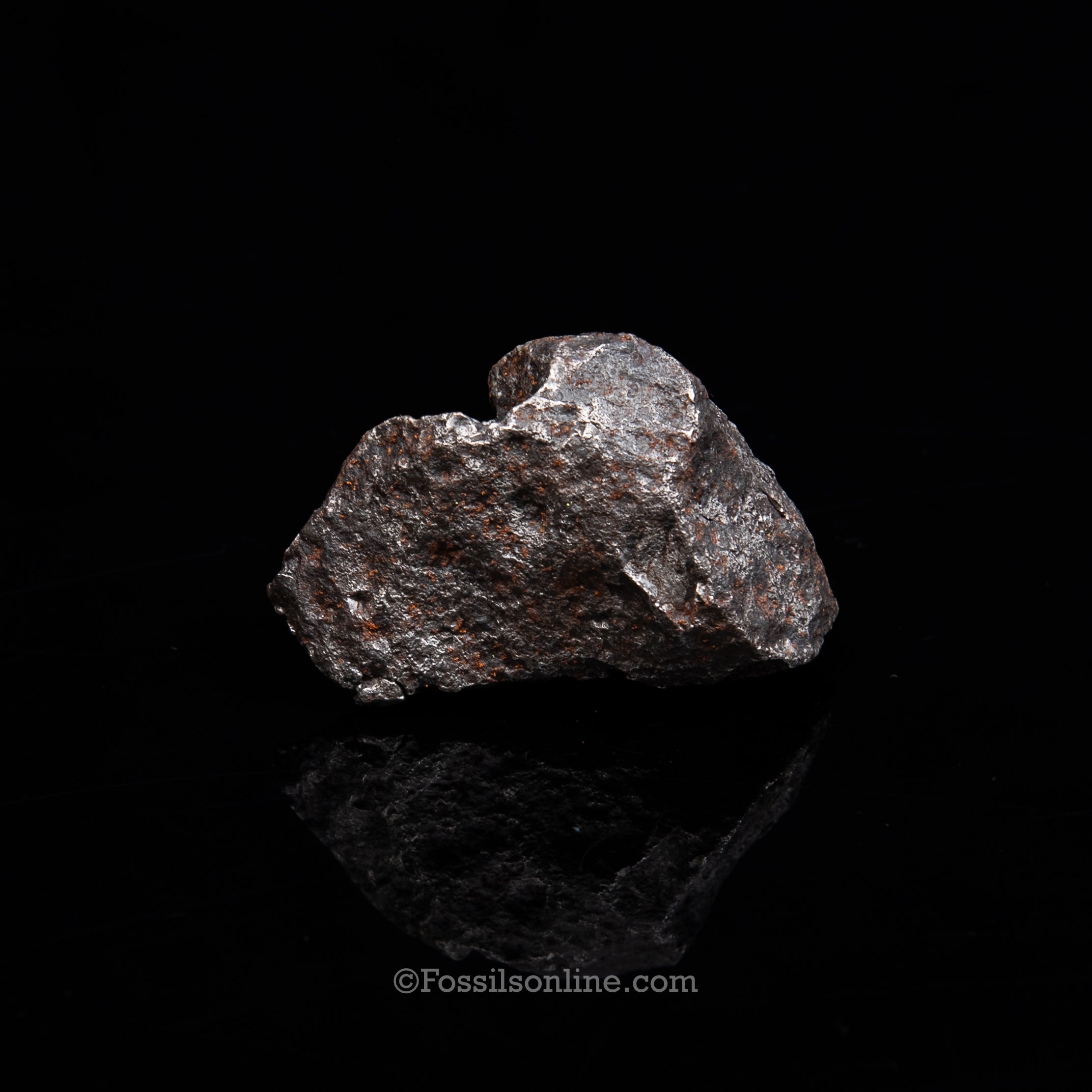 Genuine Campo del Cielo Meteorite 381GR