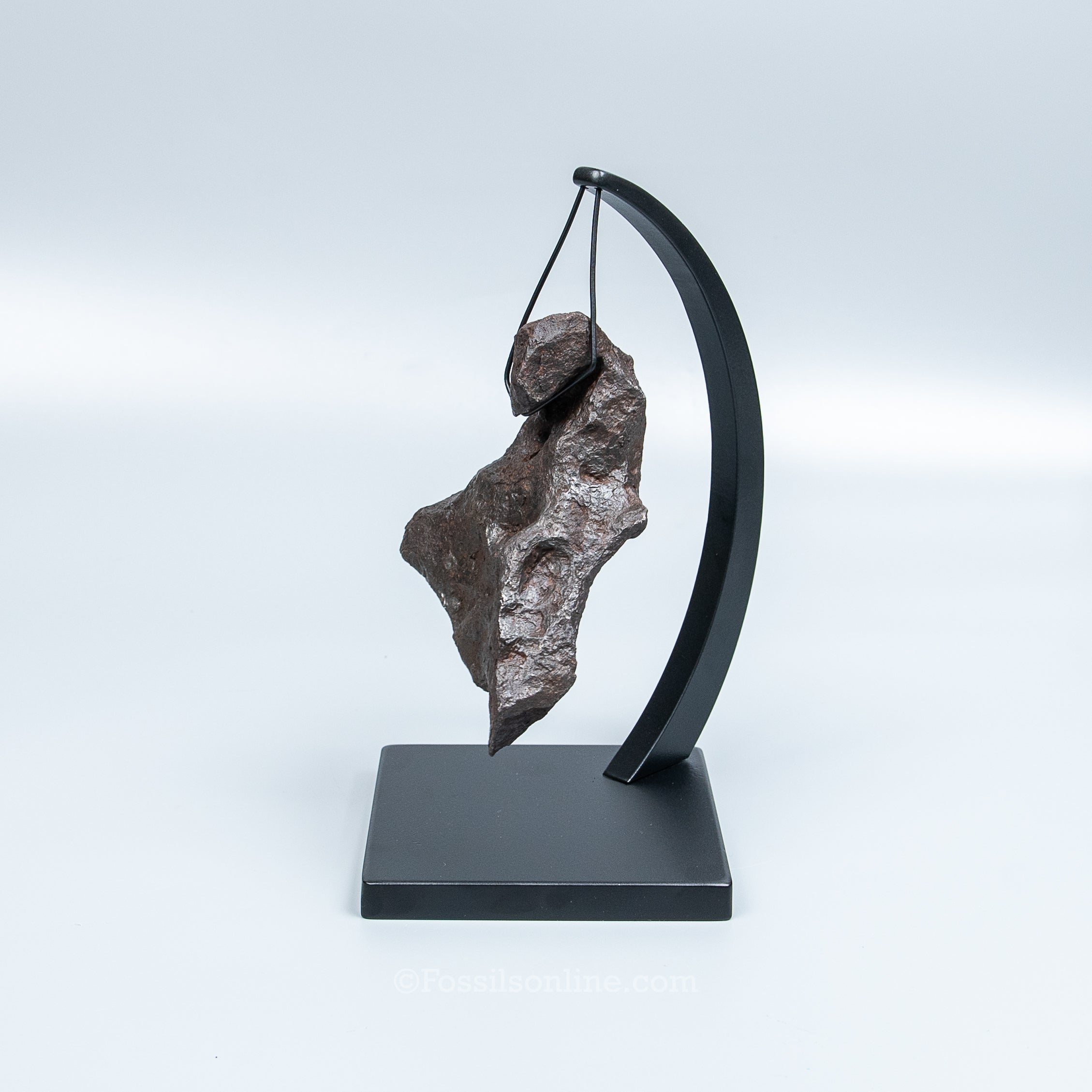 Genuine Campo del Cielo Meteorite 1125GR