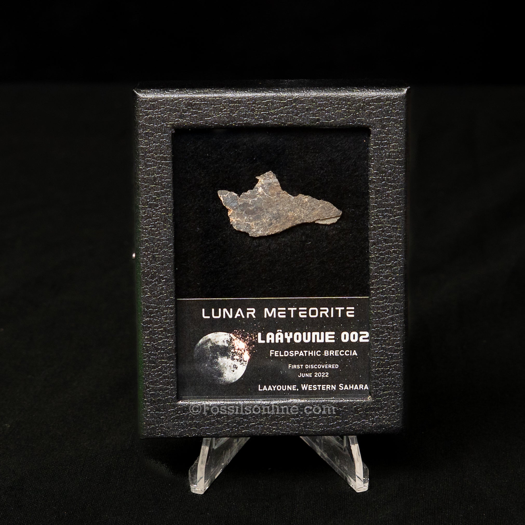 Laâyoune 002 Lunar Meteorite Slice
