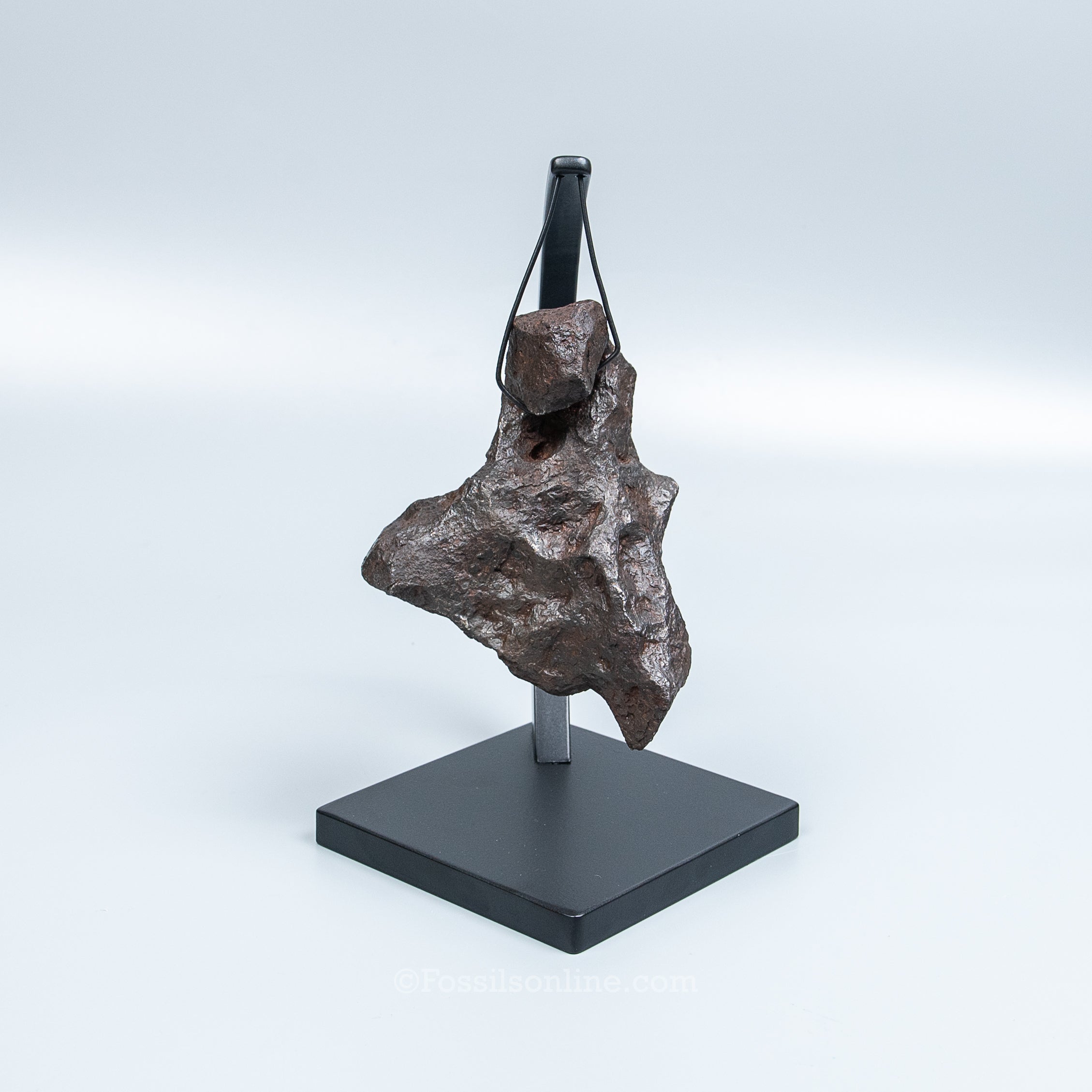 Genuine Campo del Cielo Meteorite 1125GR