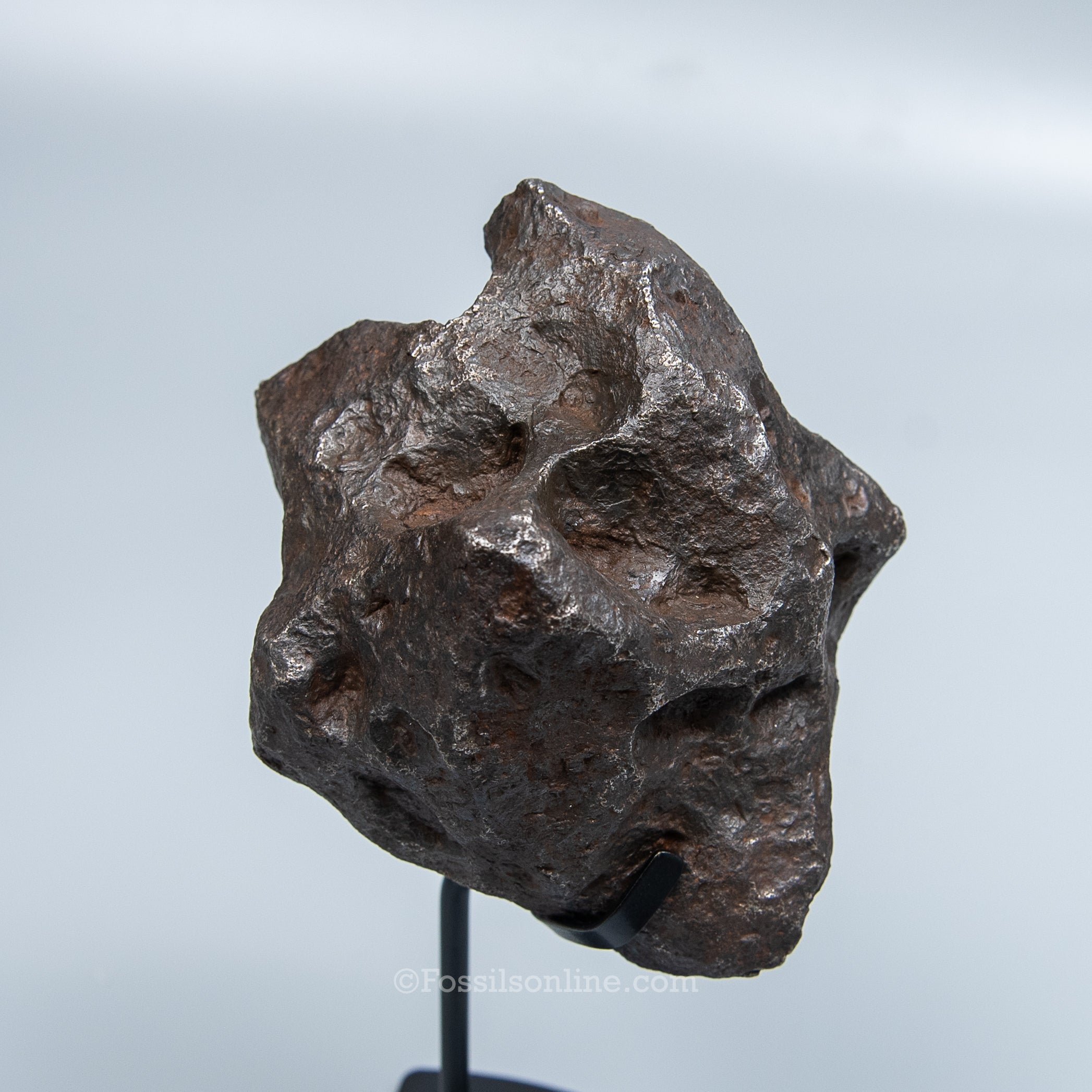 Genuine Campo del Cielo Meteorite 2195GR