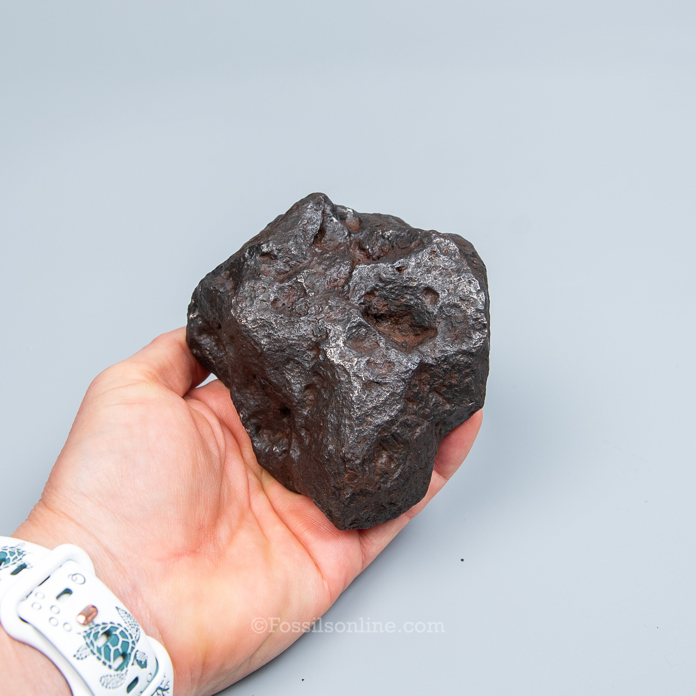 Genuine Campo del Cielo Meteorite 1075GR